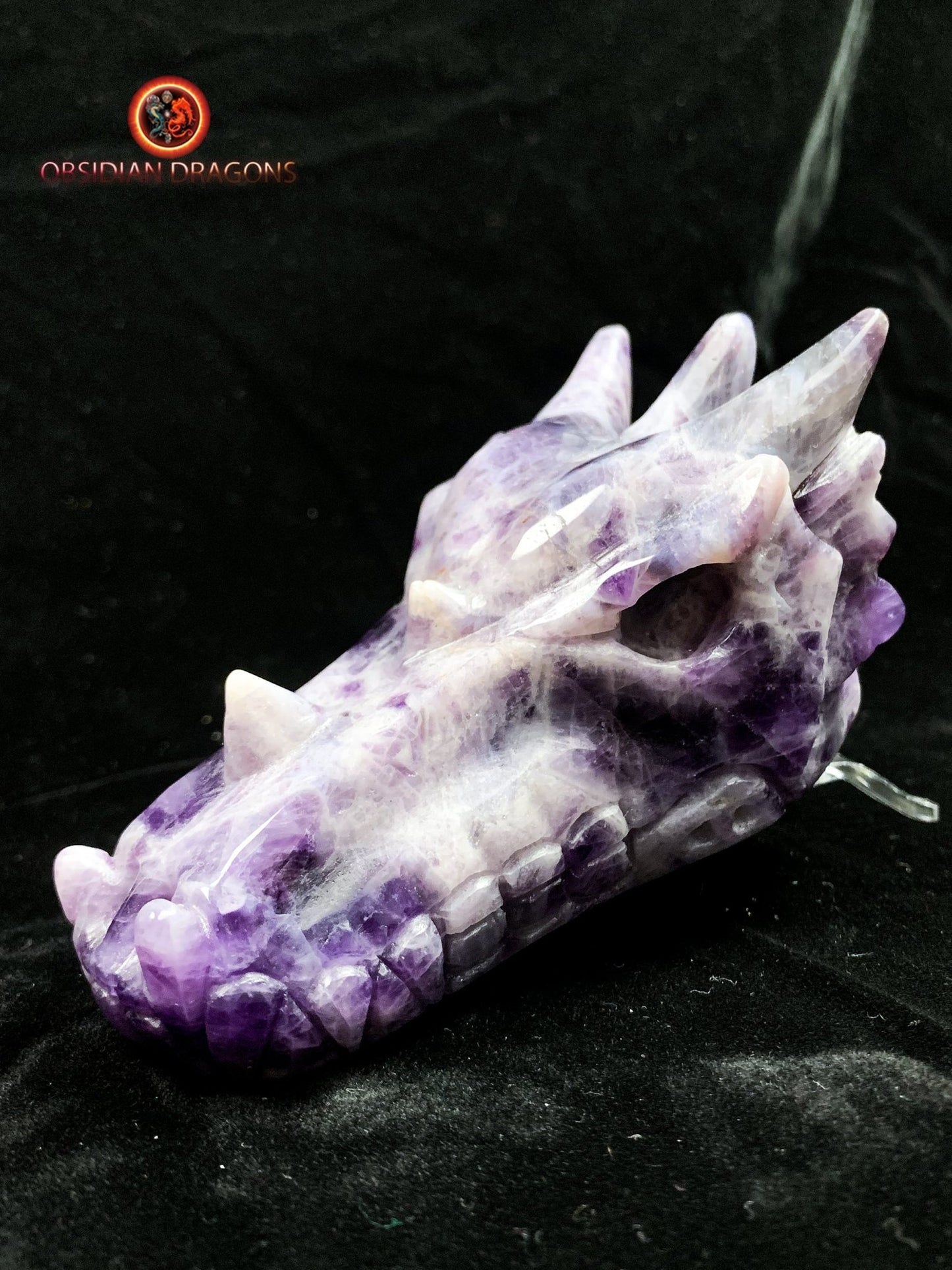 crâne de dragon en améthyste