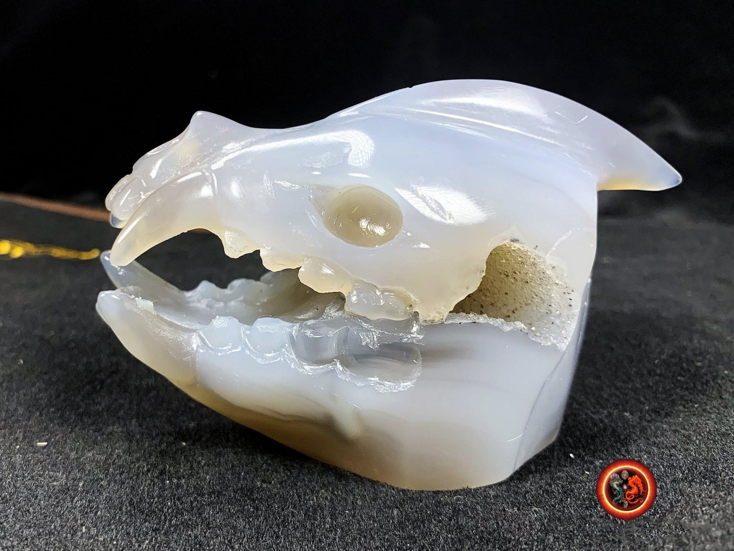 Crane de protection. Leopard Zheng. Dragon. Aspirateur d'energie impure, garant de l'ordre cosmique. Crane de dragon, sculpté dans une geode - obsidian dragon