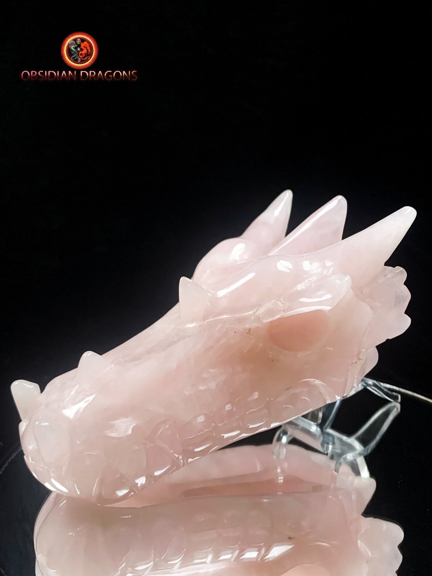 Crâne de dragon- Quartz rose- Unique