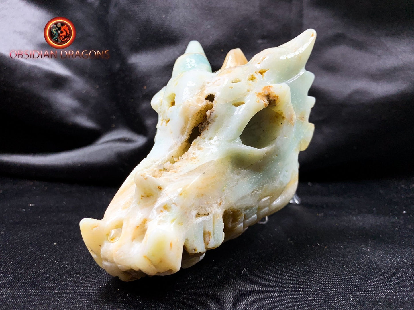 Crâne de dragon, tête de dragon, crâne de cristal, dragon skull