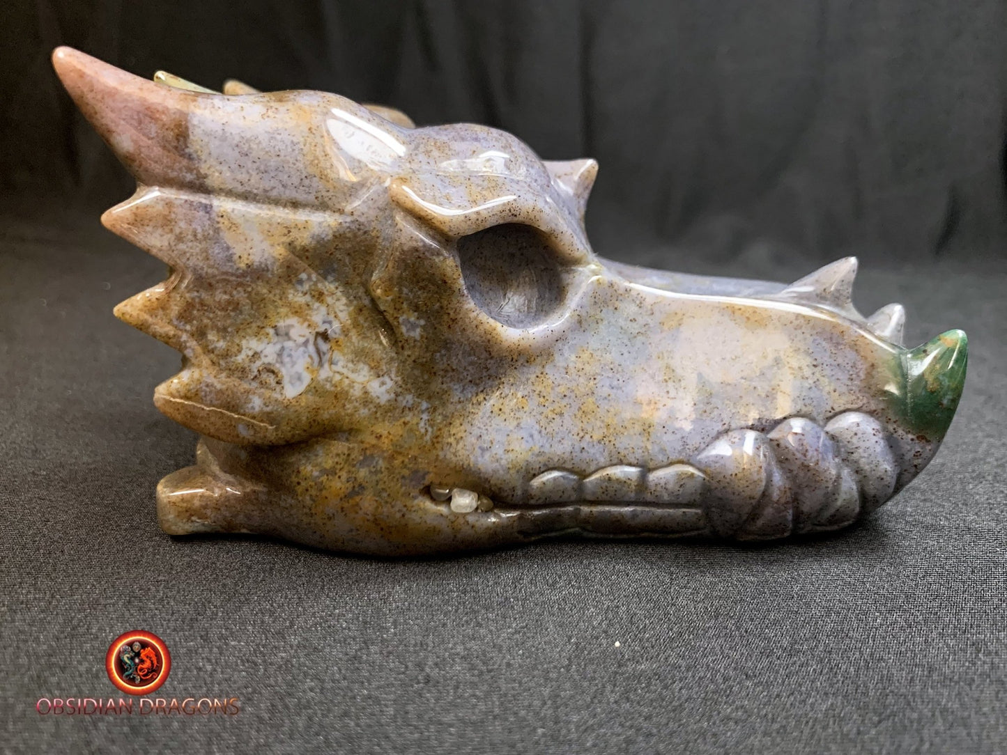 CRÂNE DE DRAGON- ARTISANAL- AGATE MOUSSE-UNIQUE
