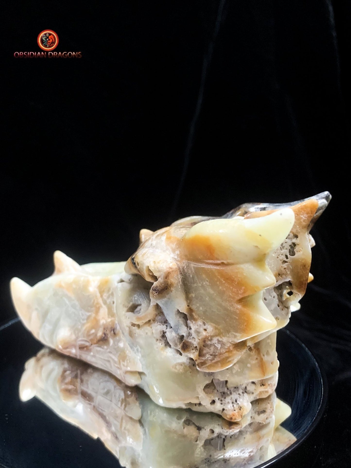 Crâne de dragon- Aragonite- Unique et artisanal | obsidian dragons