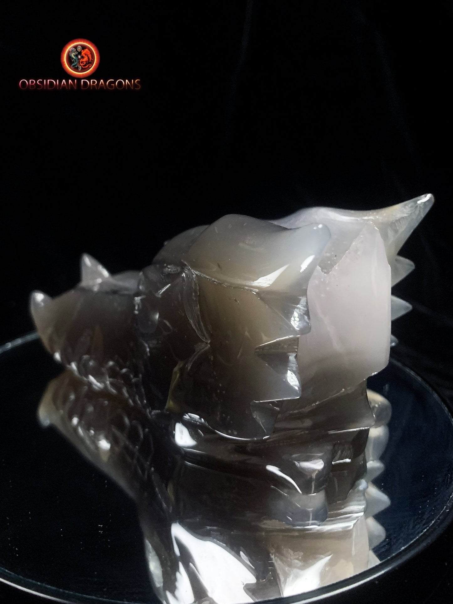 Crâne de dragon- Géode de quartz- Méditation draconique | obsidian dragons