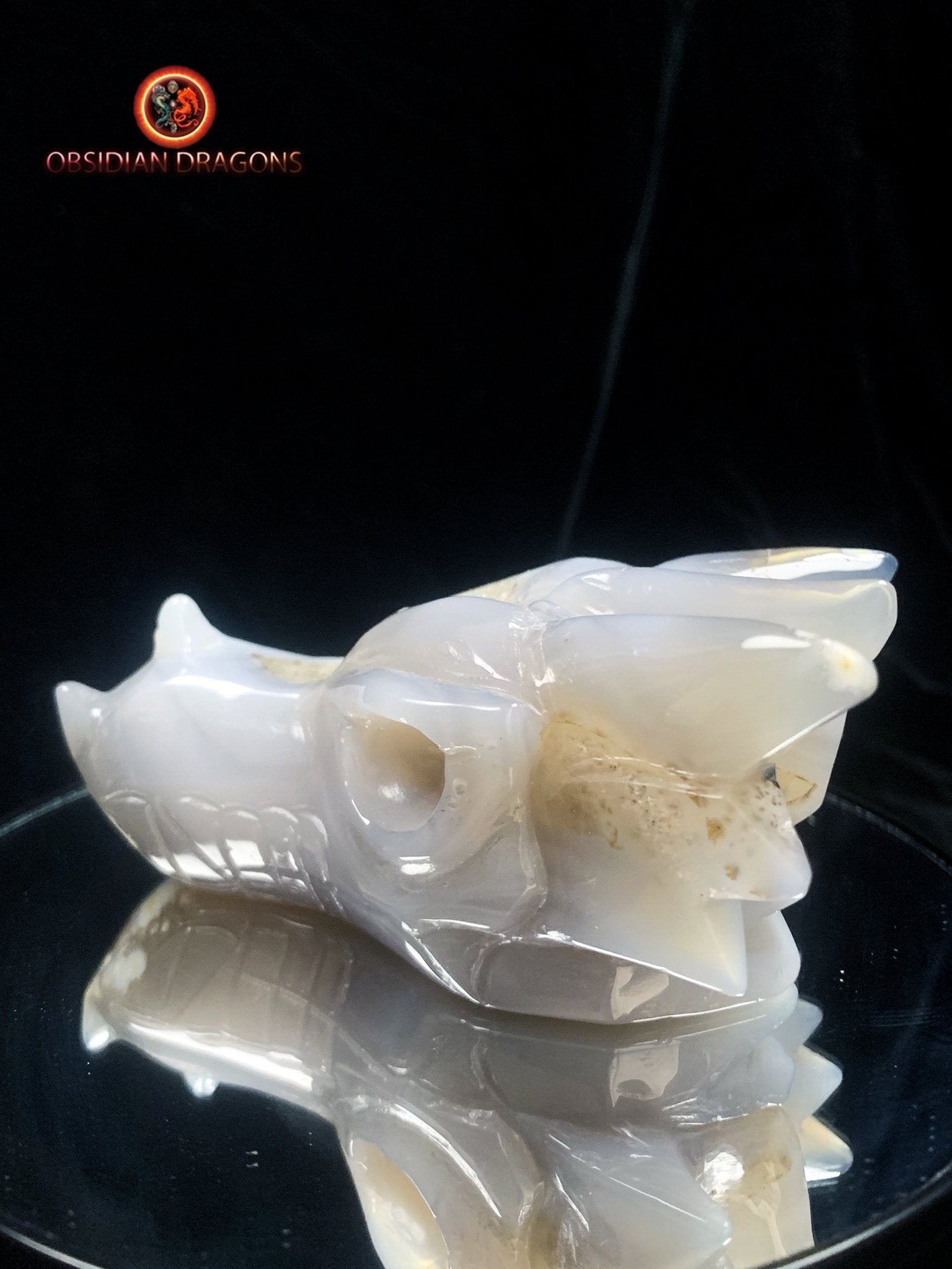 Crâne de dragon- Geode de quartz- méditation - obsidian dragons