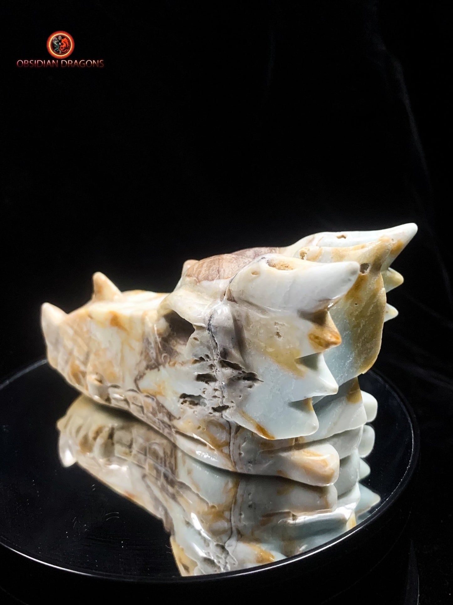 Crâne de dragon en Aragonite- Artisanal- Unique | obsidian dragons