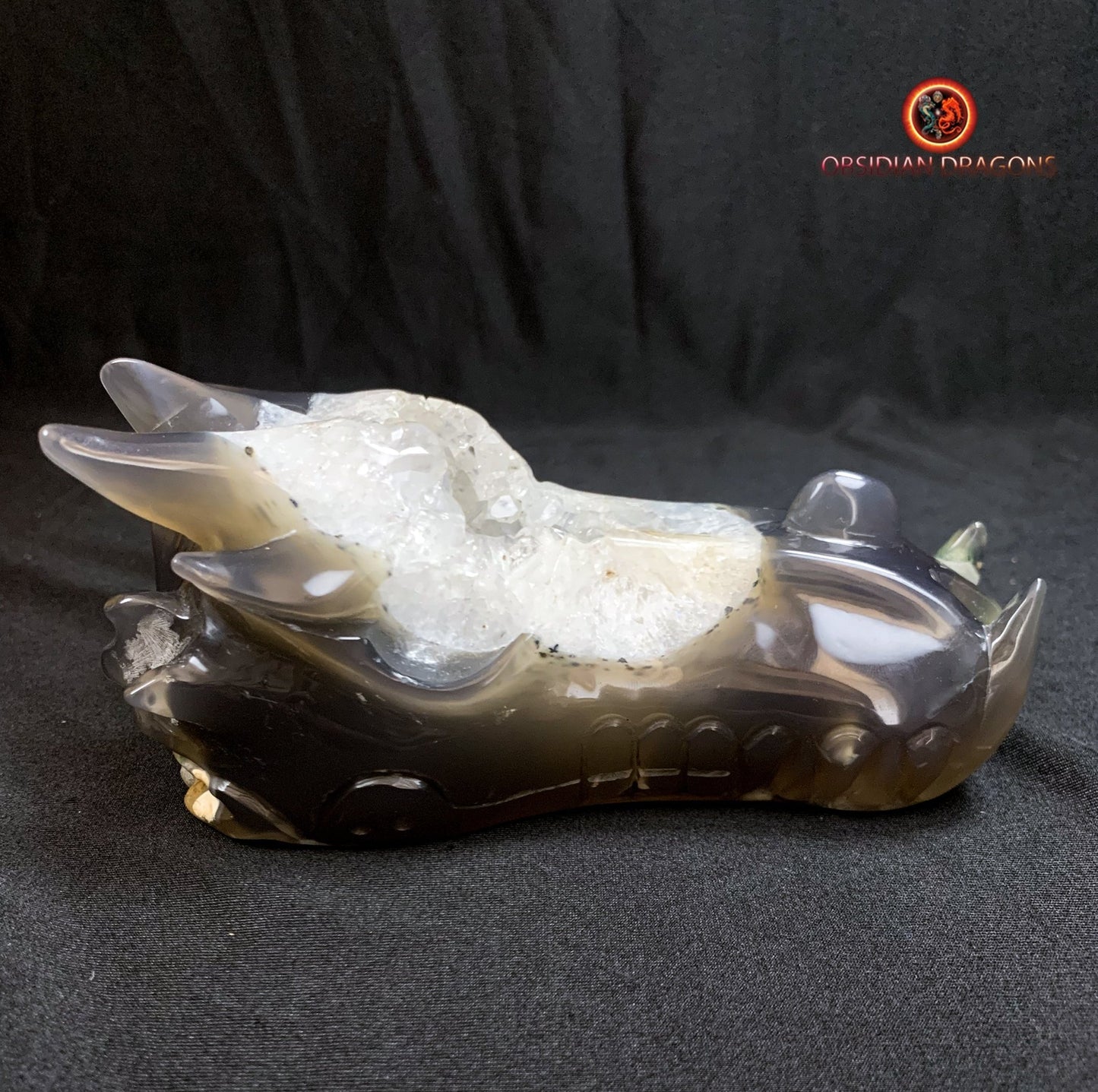 Crâne de dragon- artisanal- géode de quartz