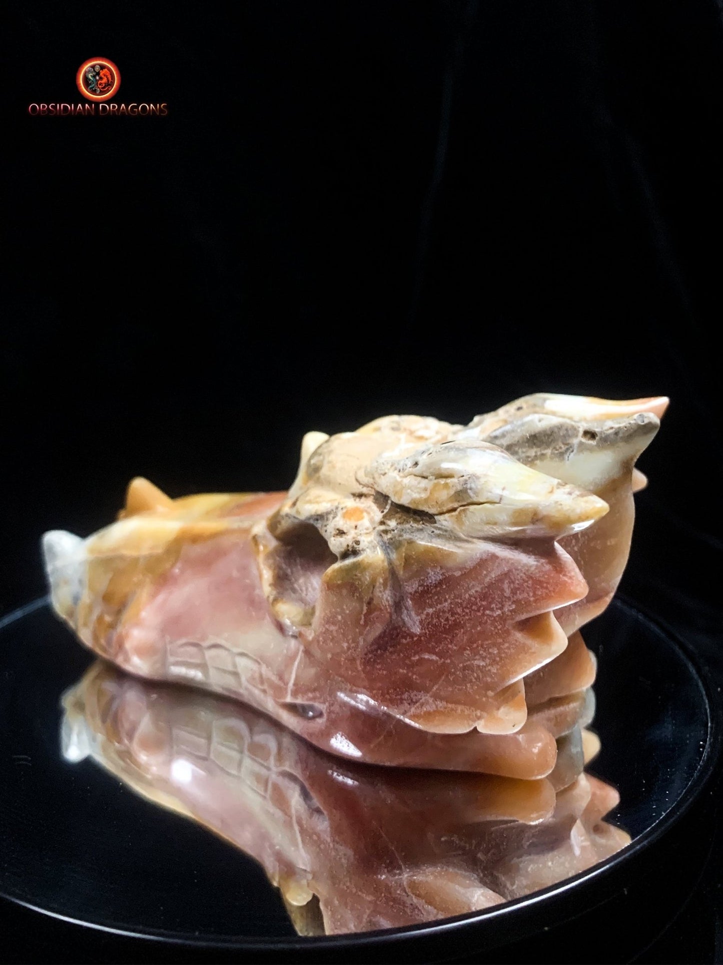 Crâne de dragon en Aragonite- Artisanal | obsidian dragons
