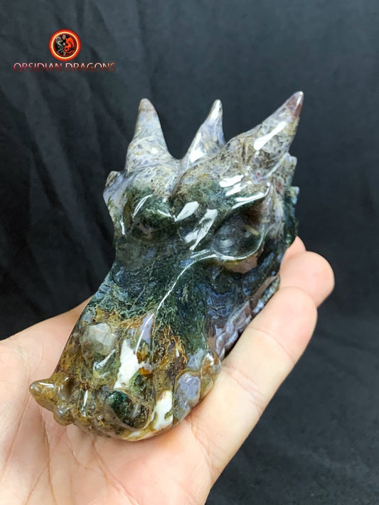 CRÂNE DE DRAGON- ARTISANAL- AGATE MOUSSE-UNIQUE