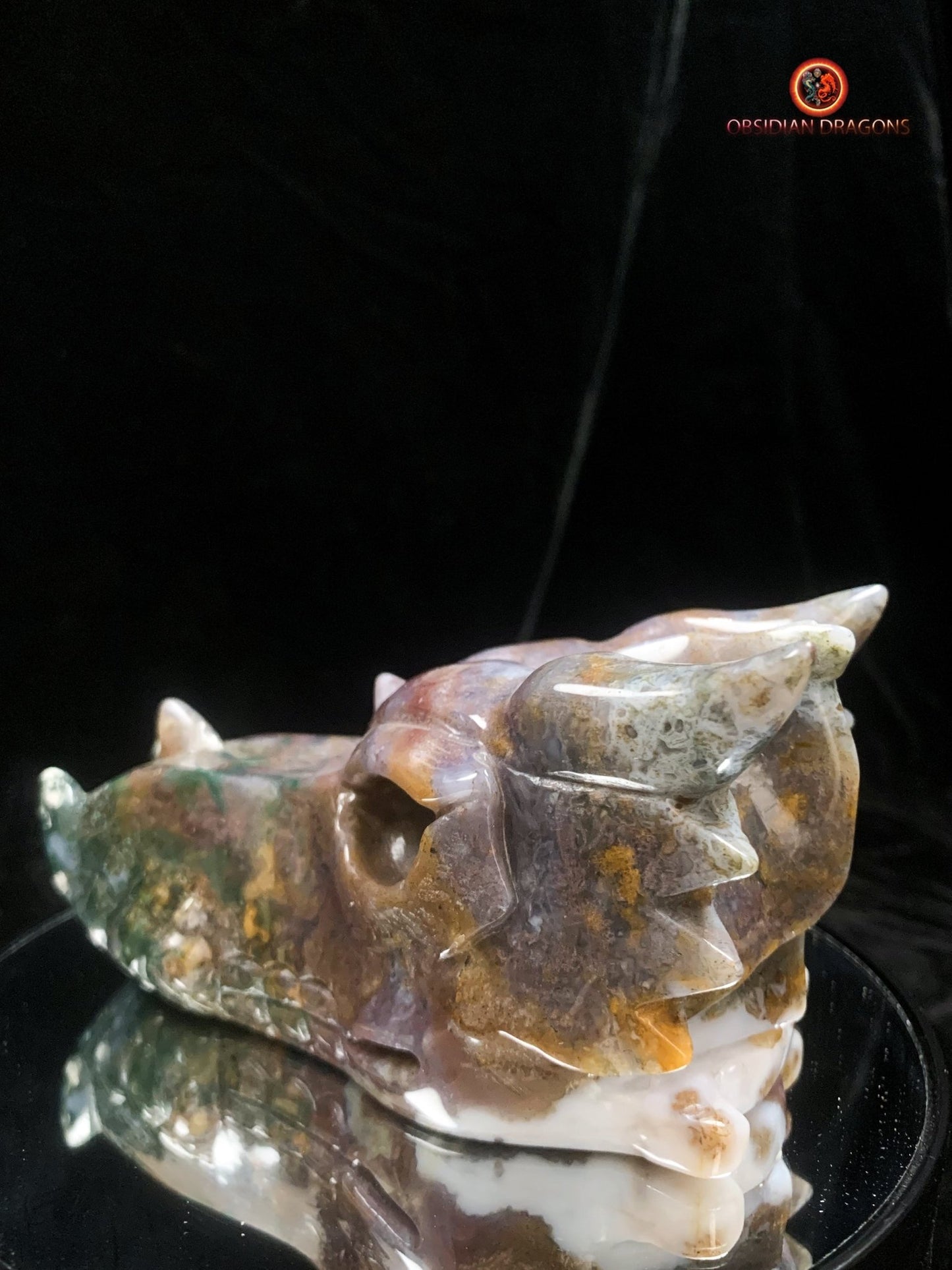 Crâne de dragon en agate mousse | obsidian dragons