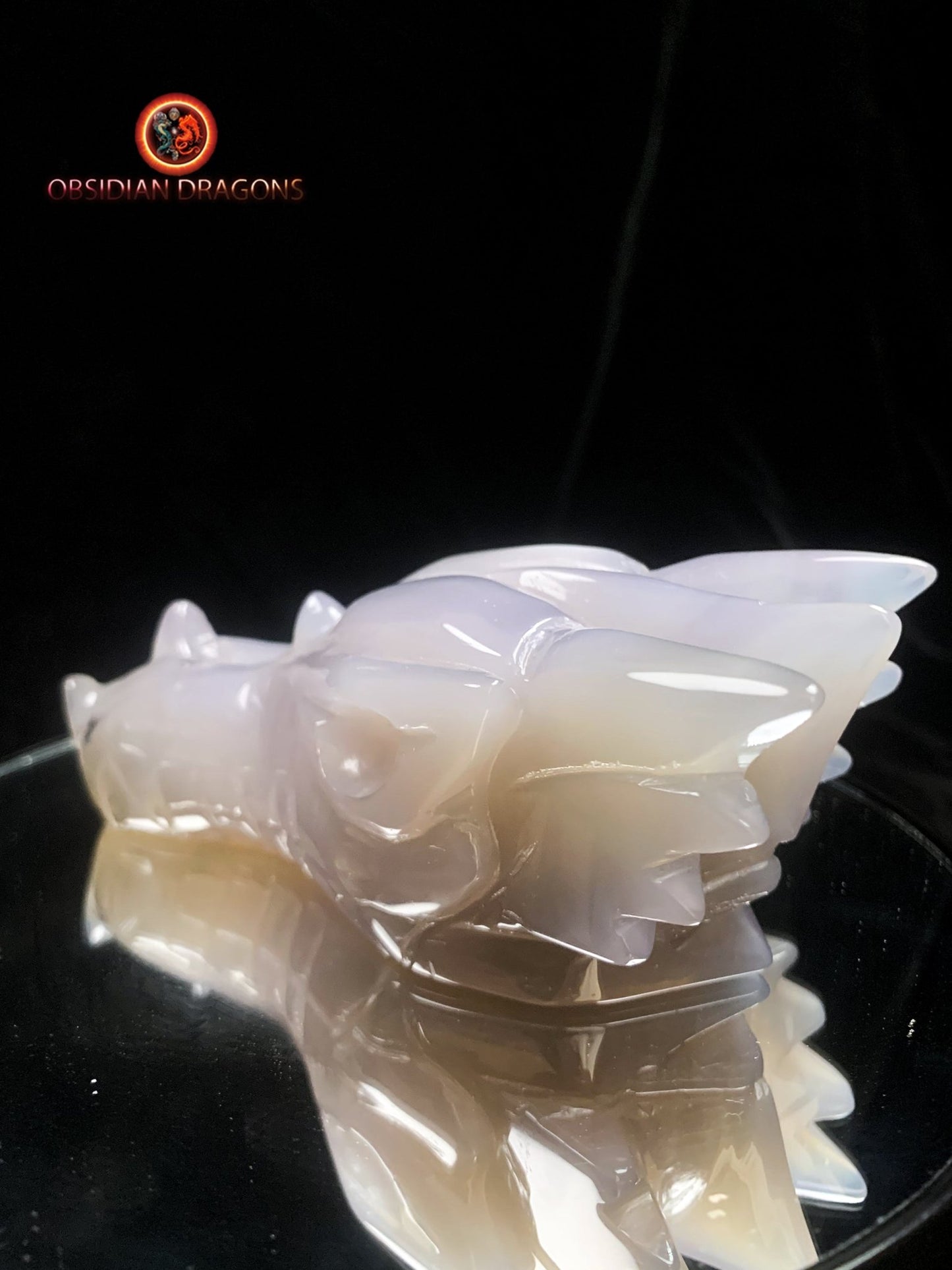 Crâne de dragon unique sculpté dans une géode de quartz | obsidian dragons