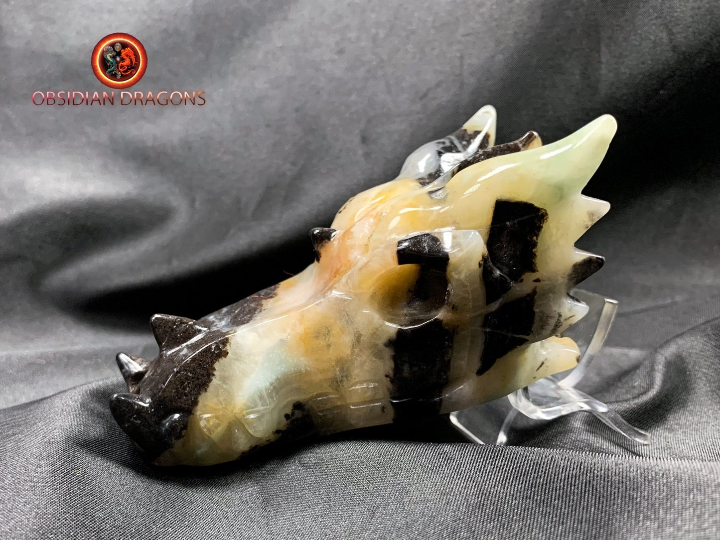 Crâne de dragon, tête de dragon, crâne de cristal, dragon skull,
