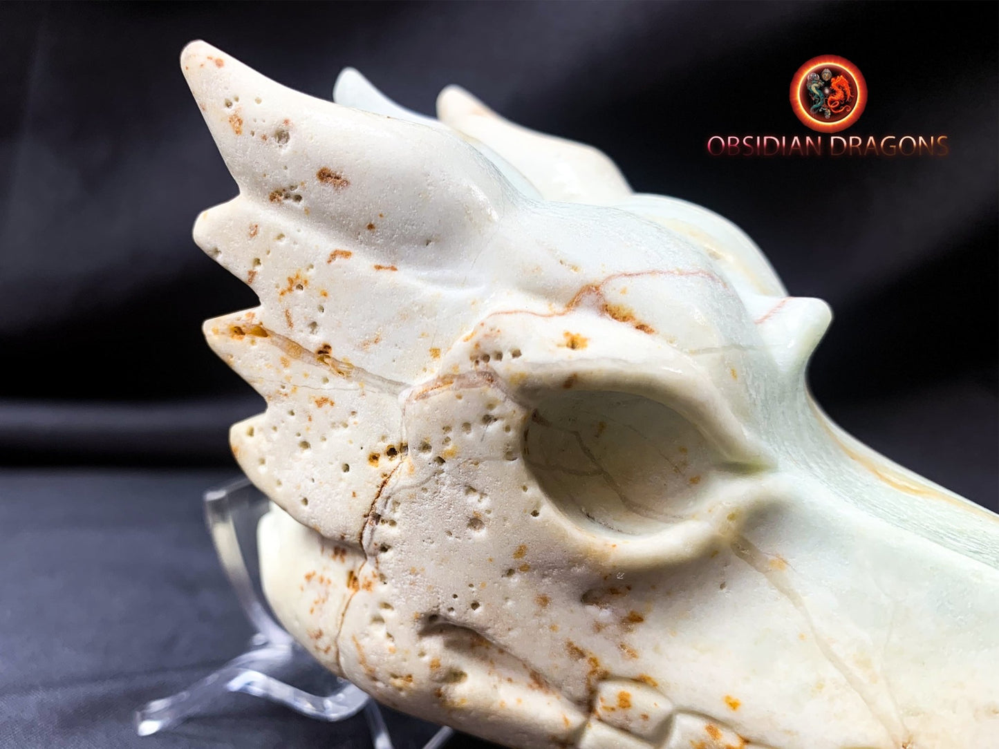 Crâne de dragon, tête de dragon, crâne de cristal, dragon skull,