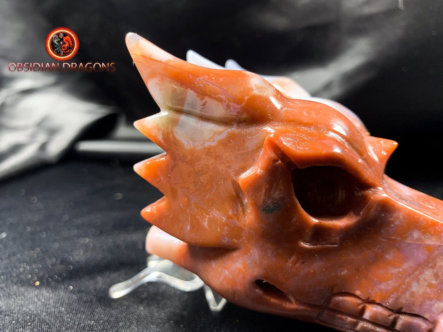 Crâne de dragon, tête de dragon, crâne de cristal, dragon skull,