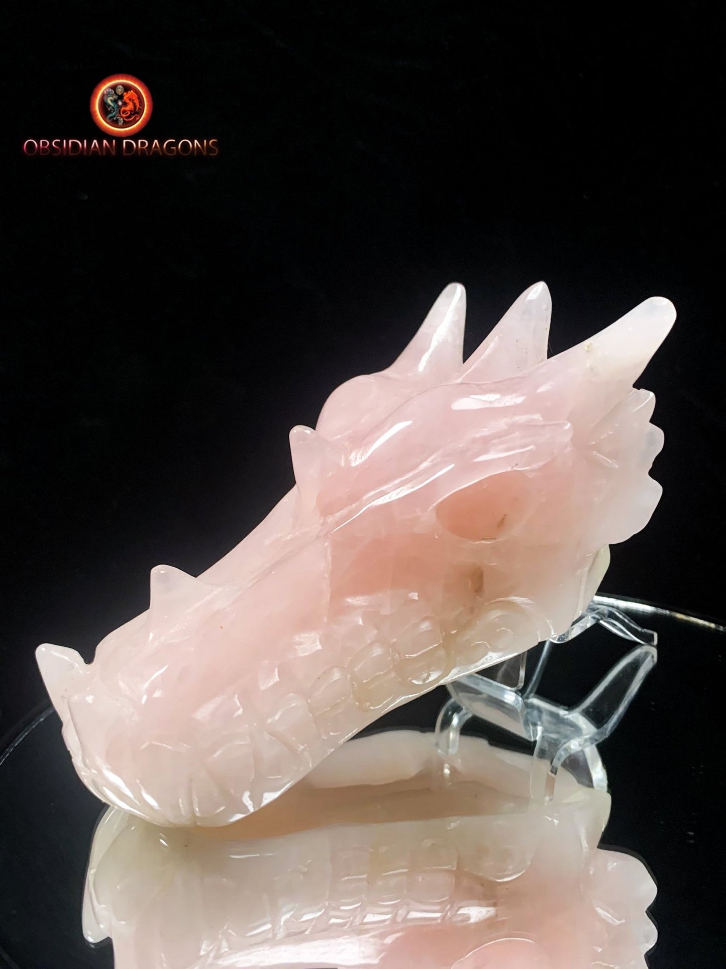 Crâne de dragon- Quartz rose- Artisanal et Unique