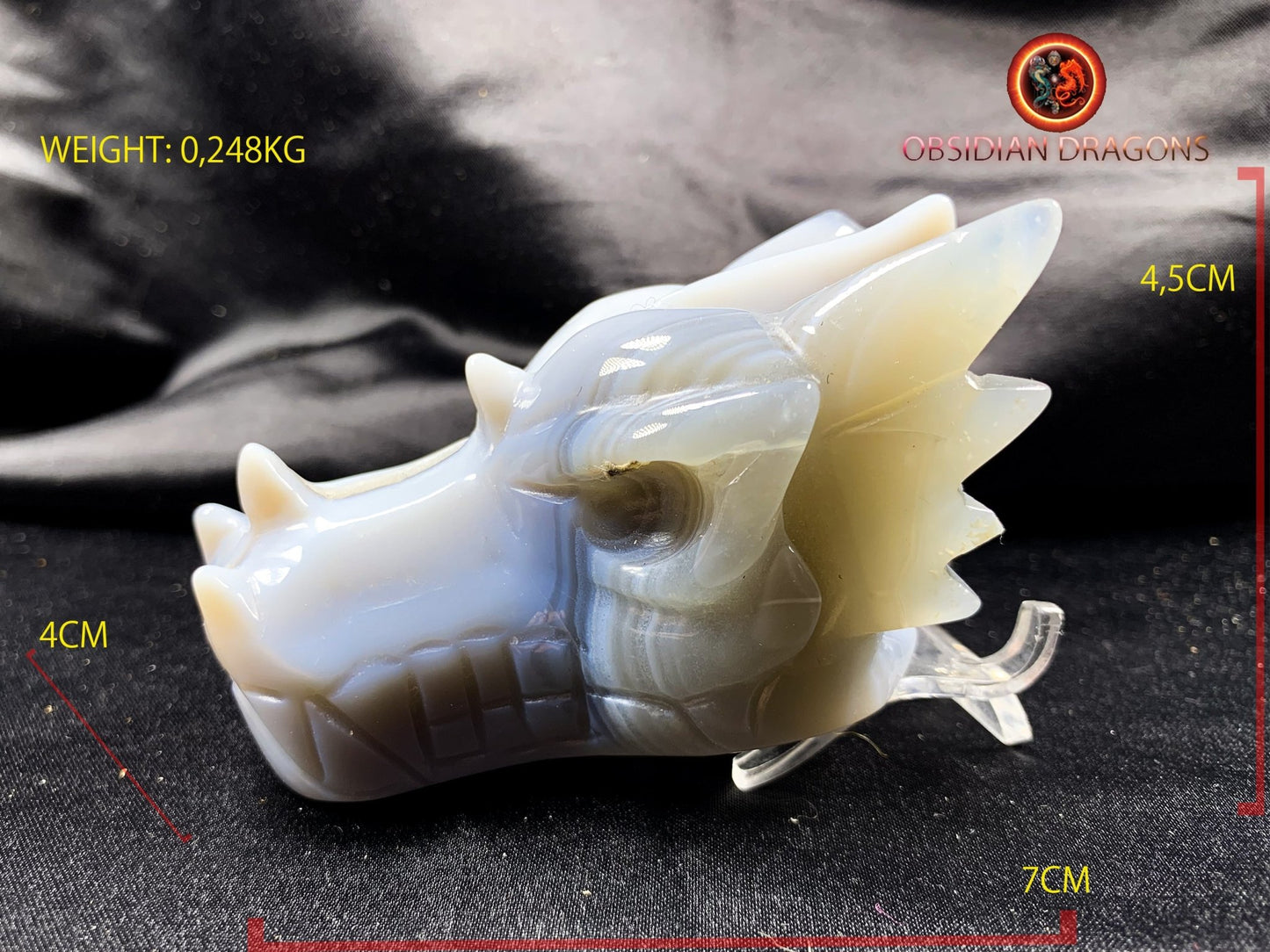 Crâne de dragon, tête de dragon, crâne de cristal, dragon skull