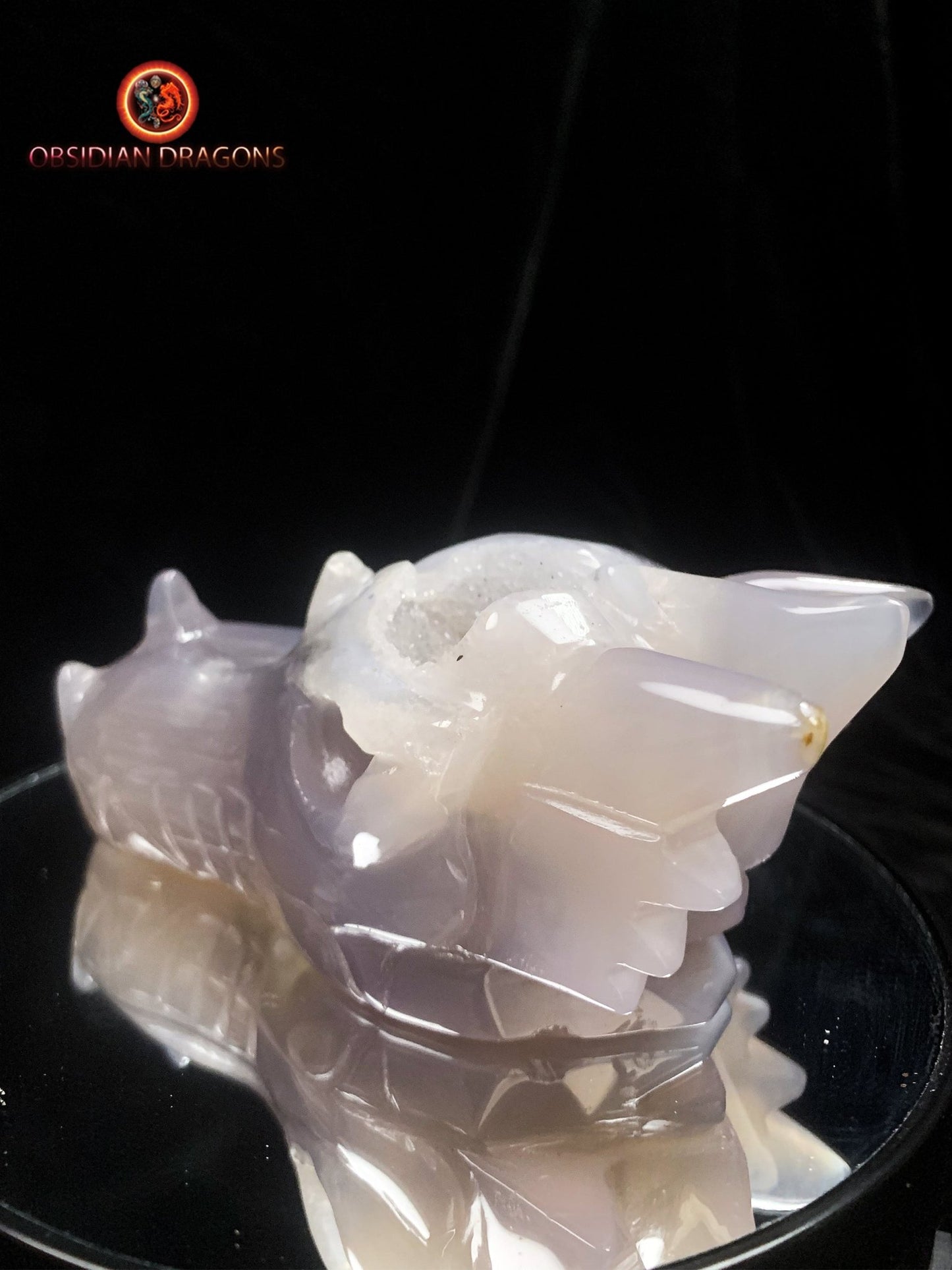 Crâne de dragon- Geode de quartz- Rare | obsidian dragons