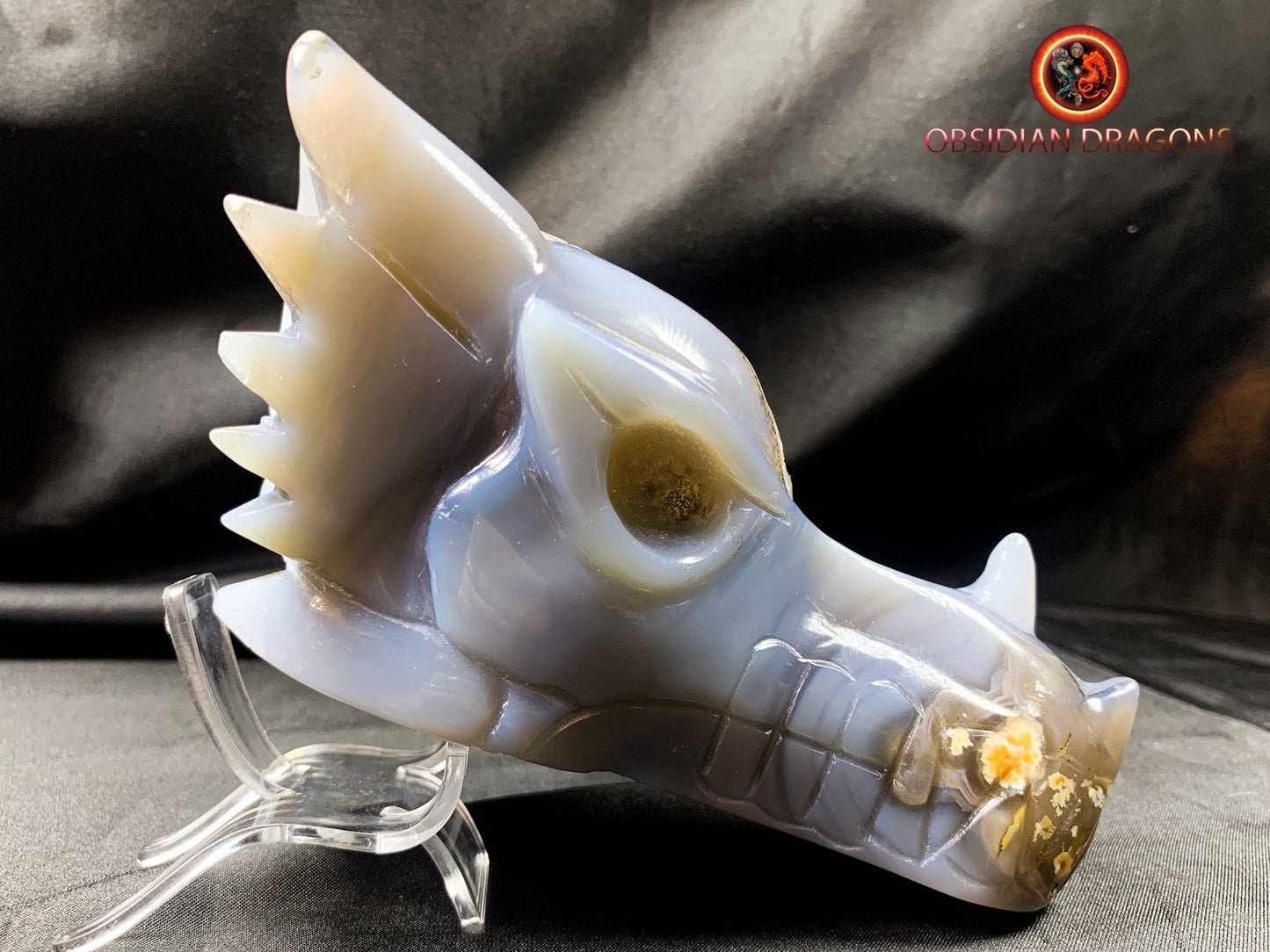 Crâne de dragon, tête de dragon, crâne de cristal, dragon skull,