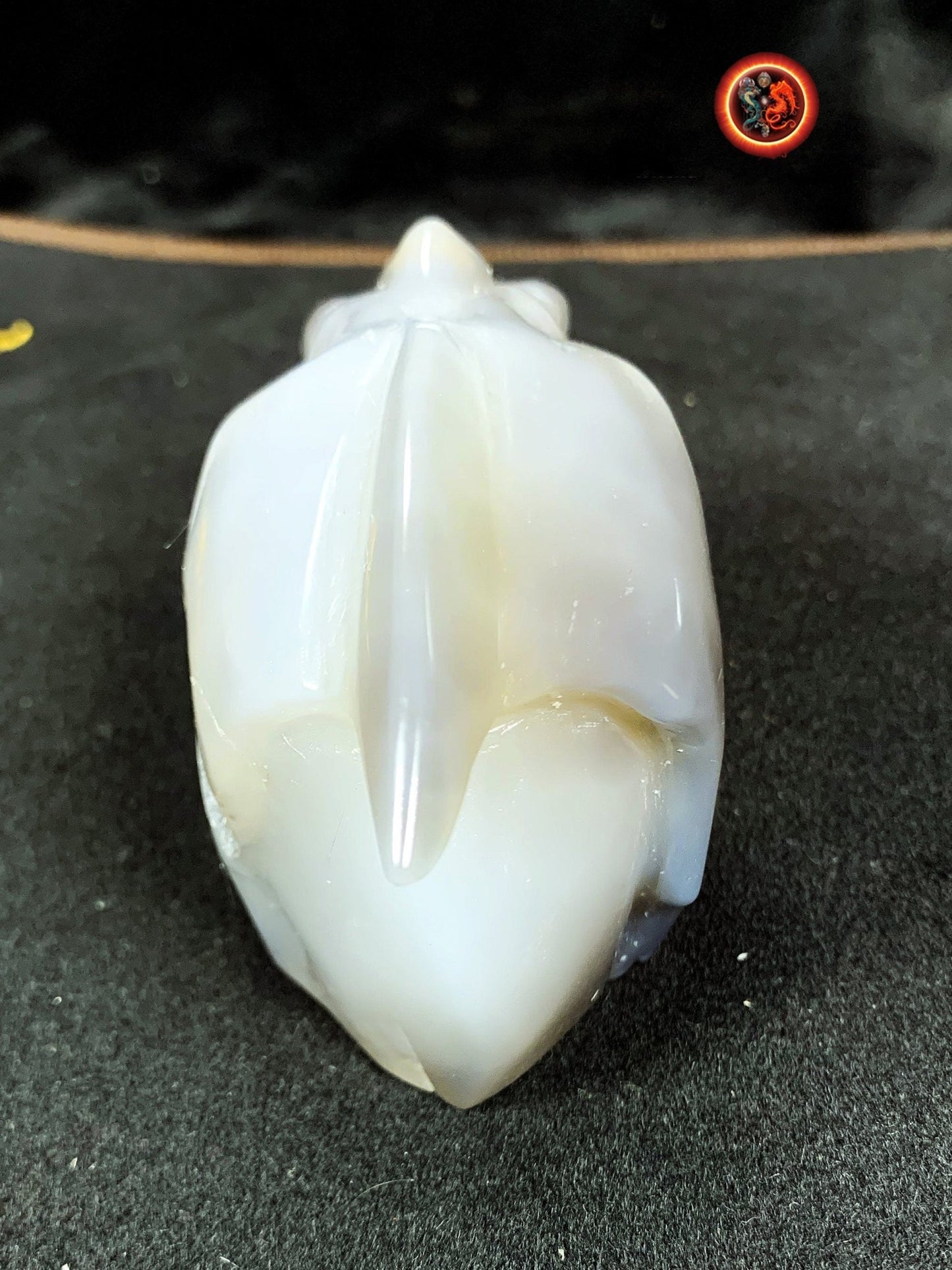Crane de protection. Leopard Zheng. Dragon. Aspirateur d'energie impure, garant de l'ordre cosmique. Crane de dragon, sculpté dans une geode - obsidian dragon