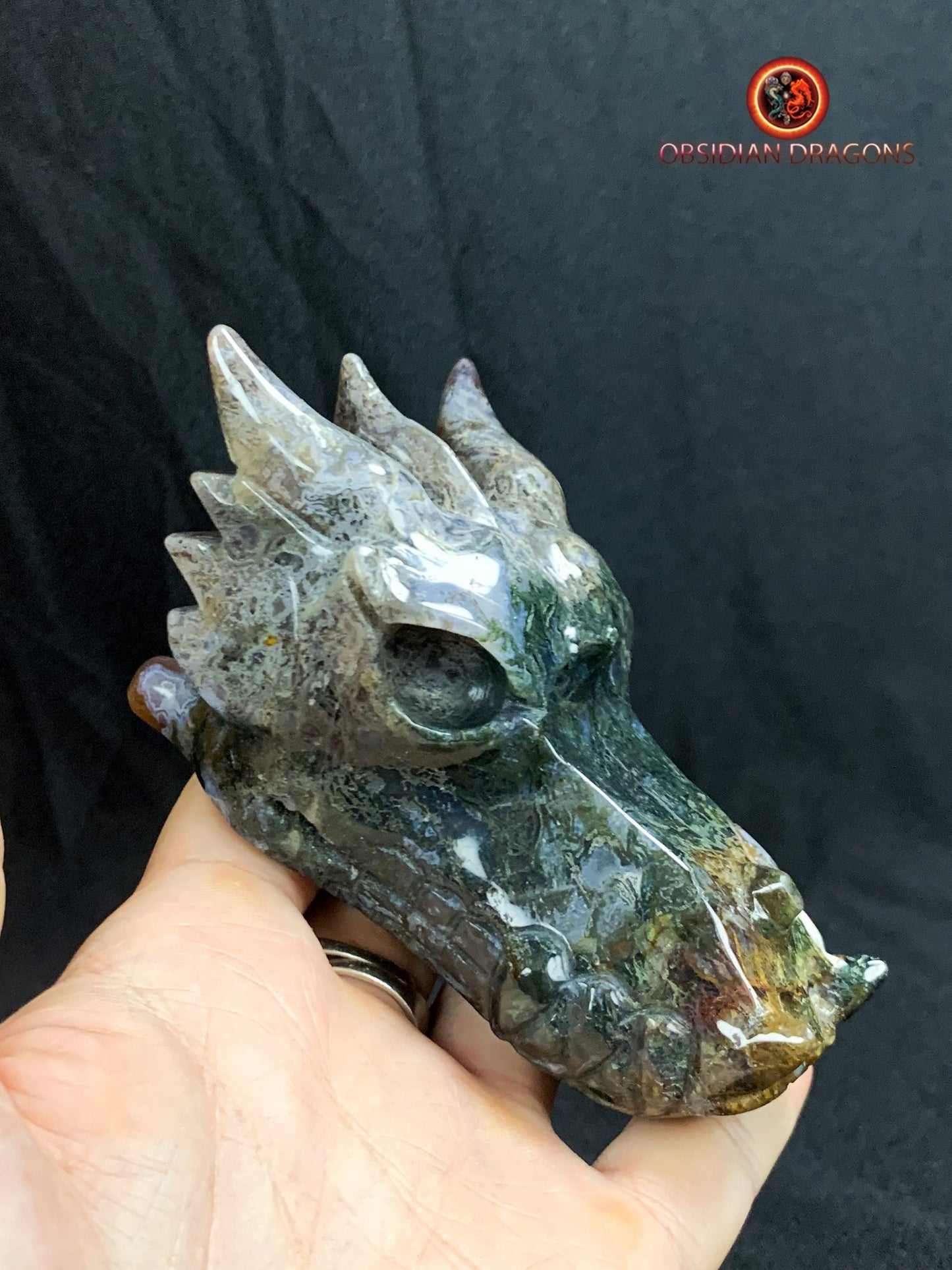 CRÂNE DE DRAGON- ARTISANAL- AGATE MOUSSE-UNIQUE