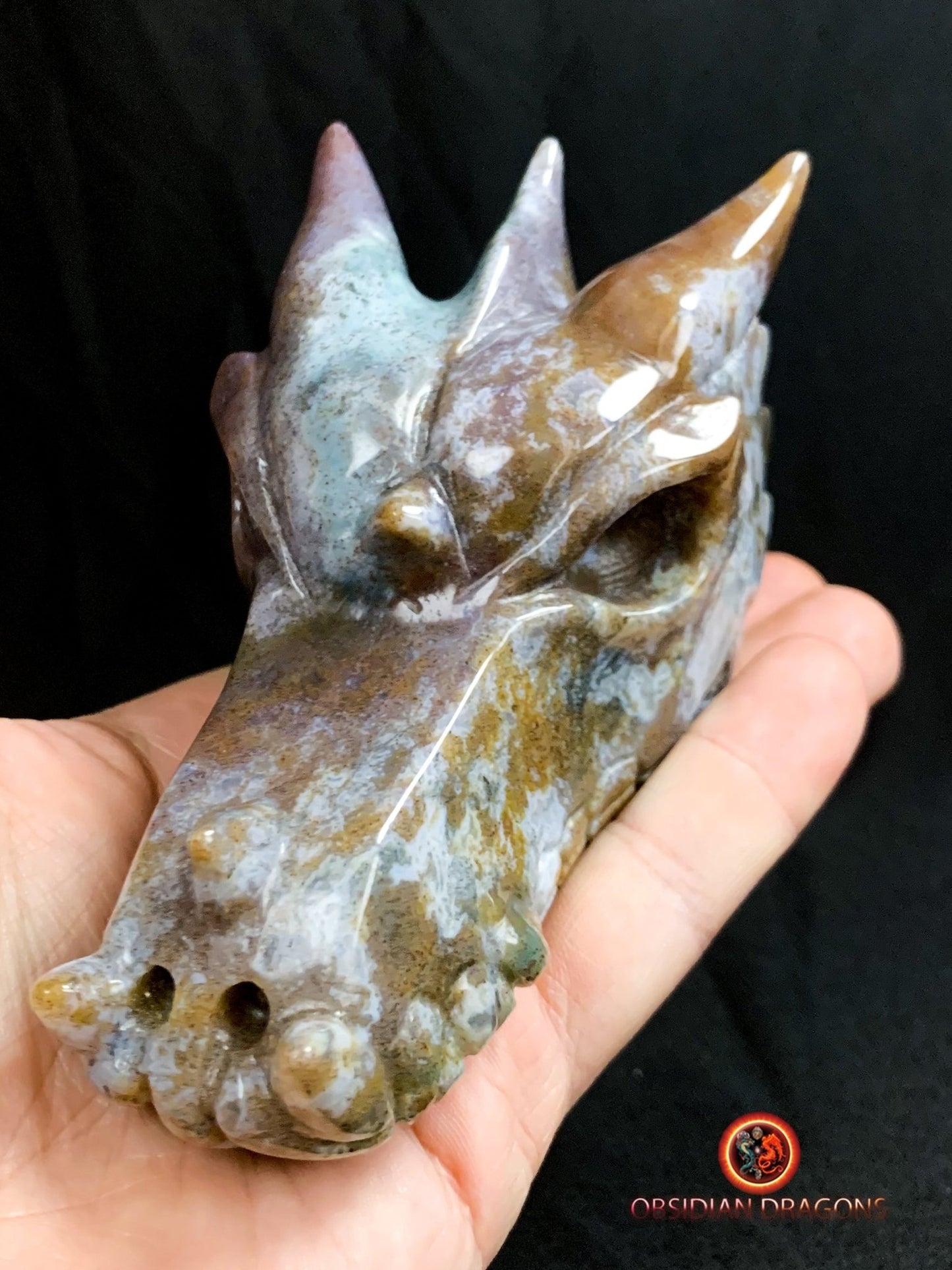 CRÂNE DE DRAGON- ARTISANAL- AGATE MOUSSE-UNIQUE