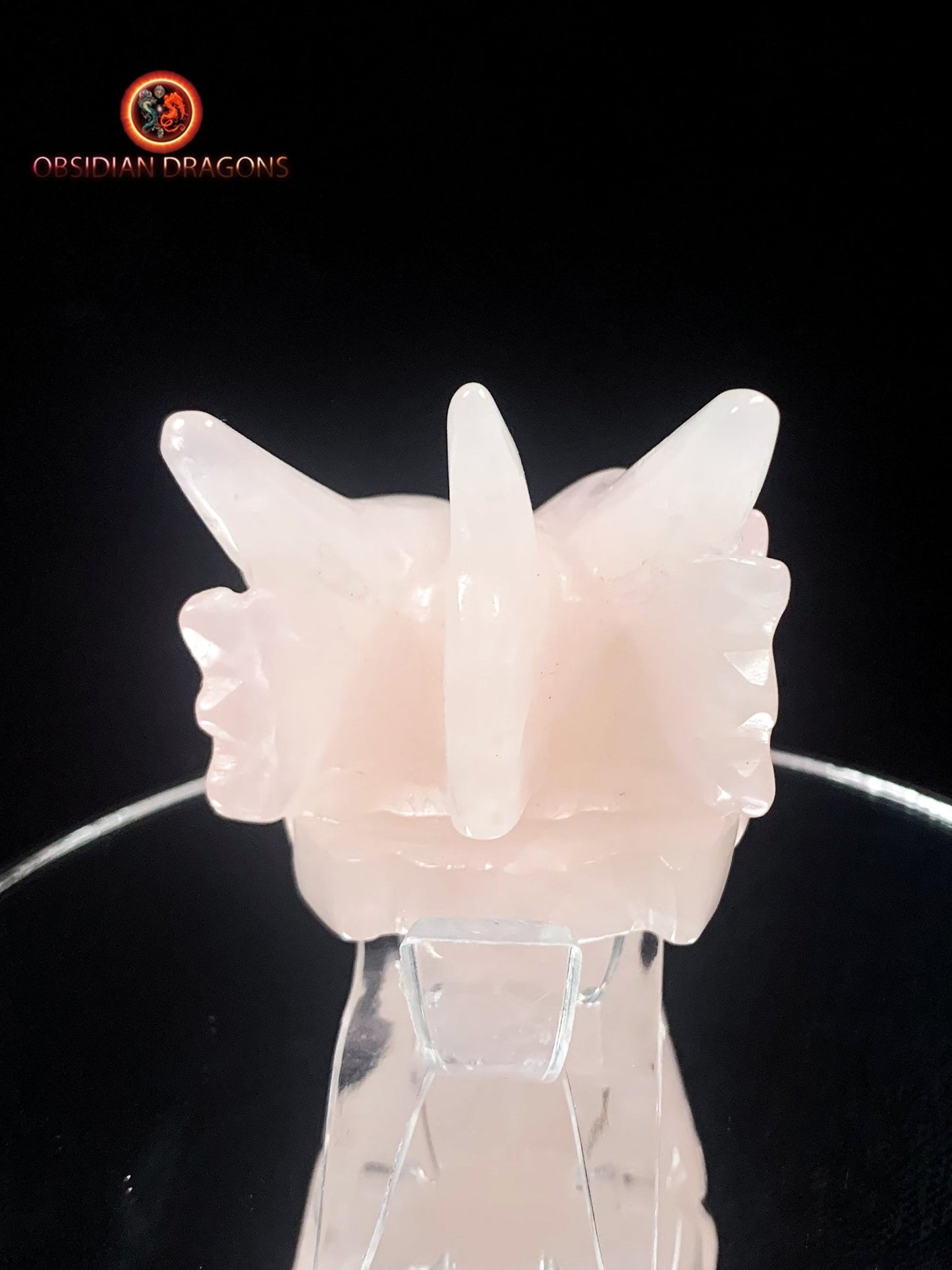 Crâne de dragon- Quartz rose- Authentique