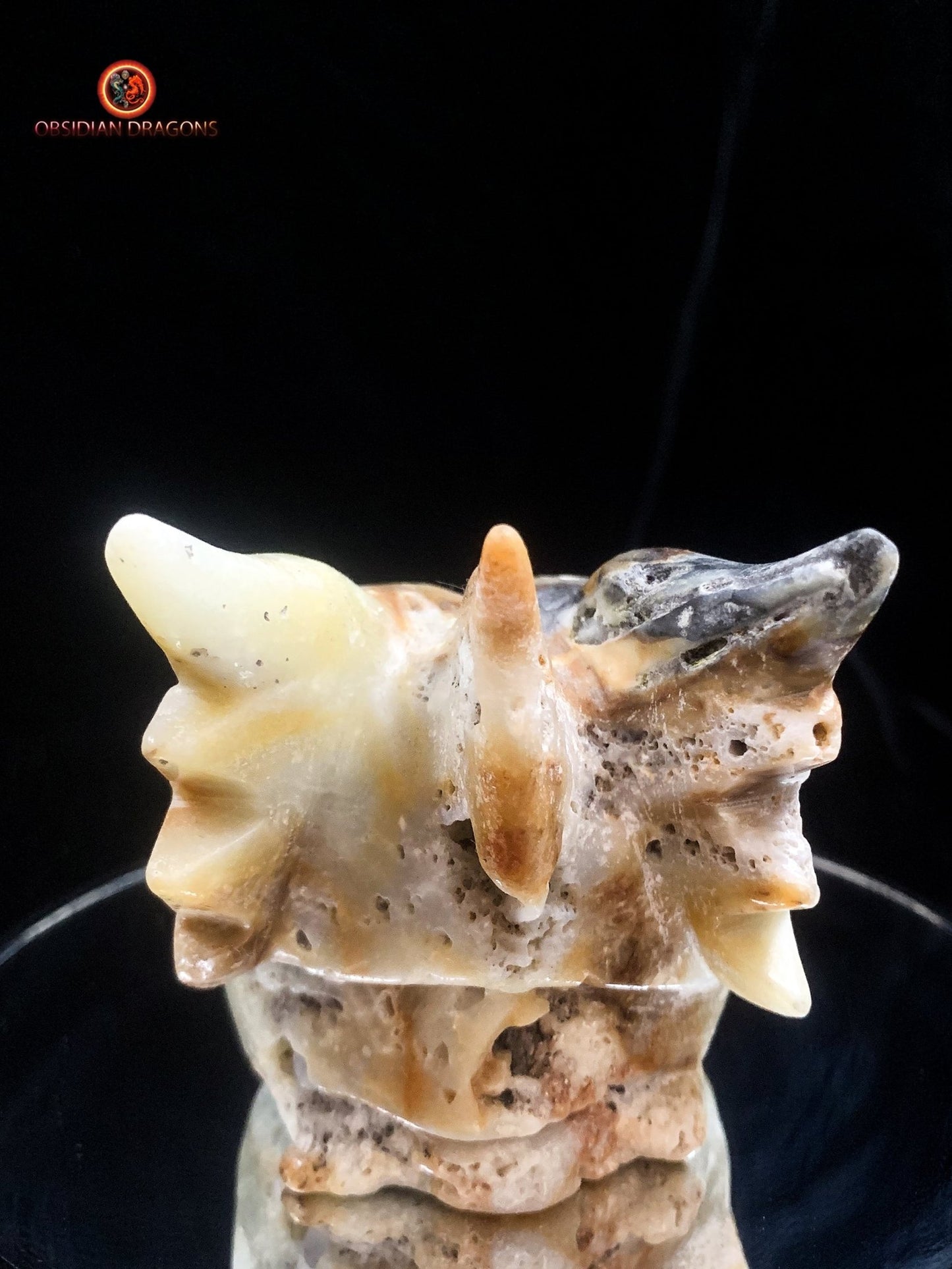 Crâne de dragon- Aragonite- Unique et artisanal | obsidian dragons