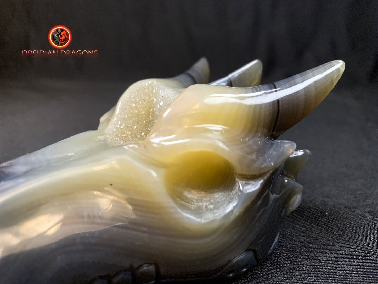 Crâne de dragon- artisanal- géode de quartz- unique
