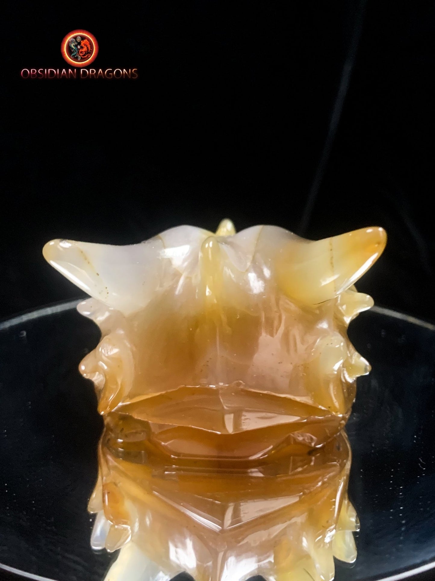 Crâne de dragon sculpté dans une géode de quartz | obsidian dragons