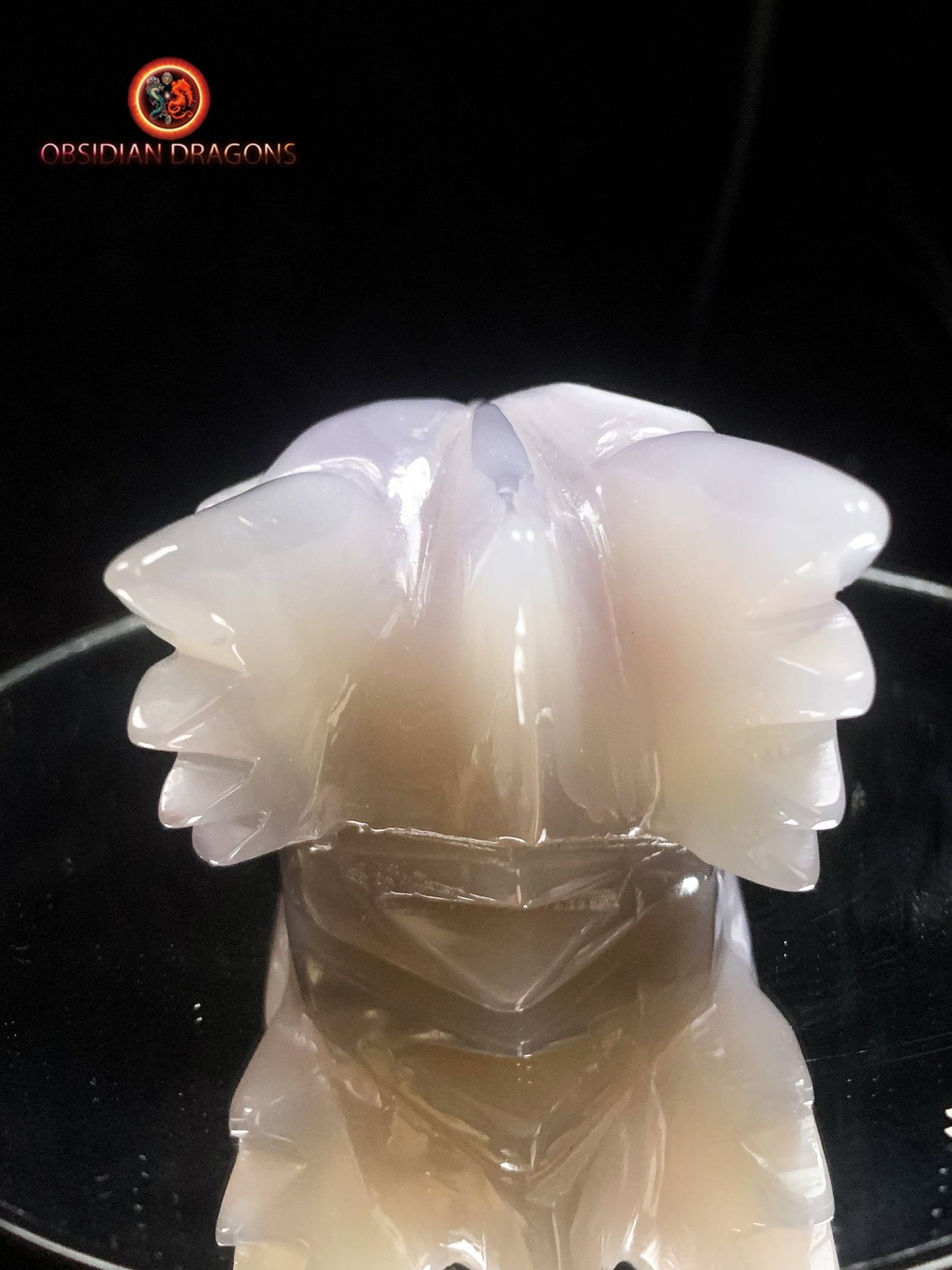 Crâne de dragon unique sculpté dans une géode de quartz | obsidian dragons