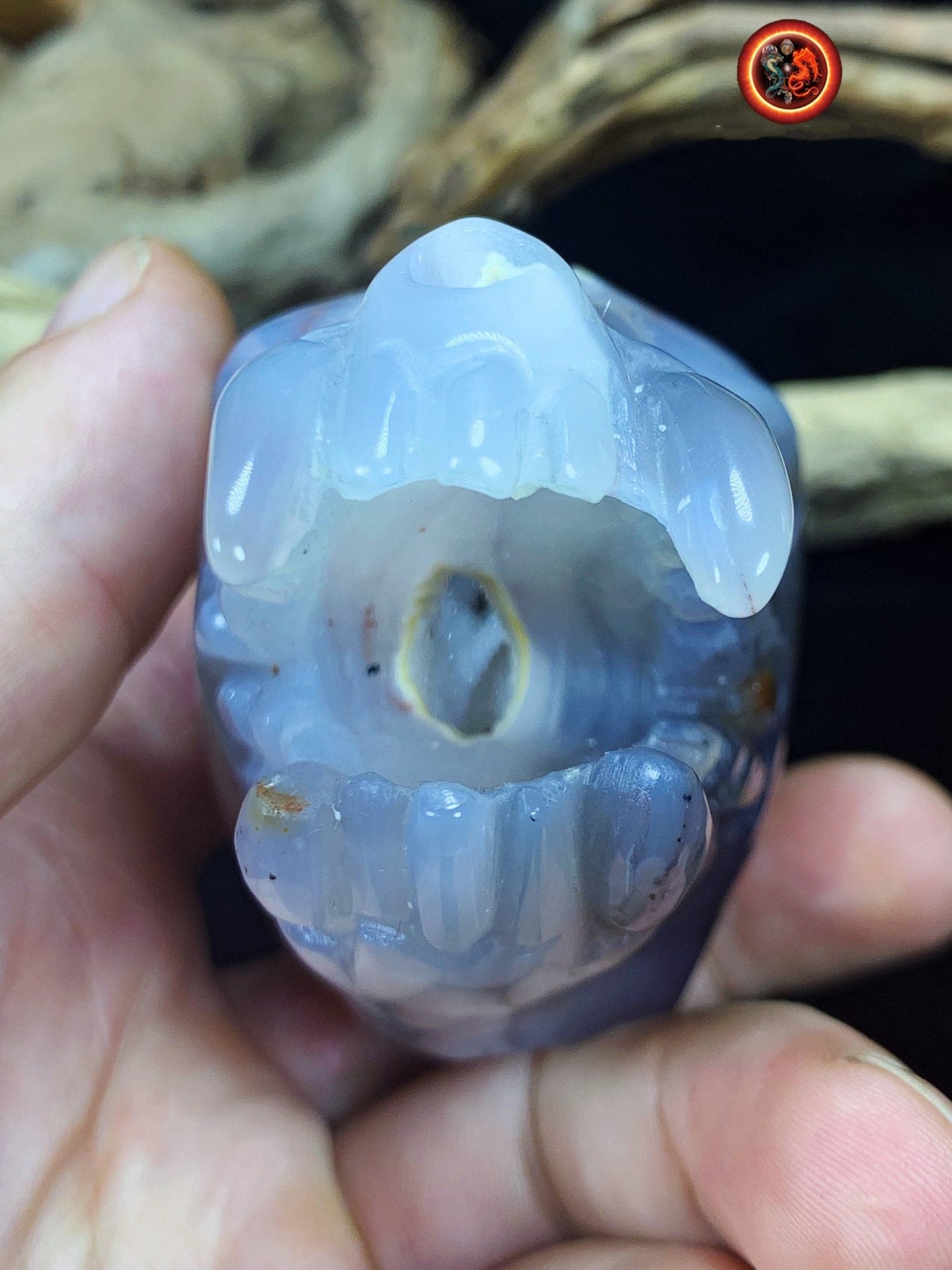 Crane de protection. Leopard Zheng. Dragon. Aspirateur d'energie impure, garant de l'ordre cosmique. Crane de dragon, sculpté dans une geode - obsidian dragon