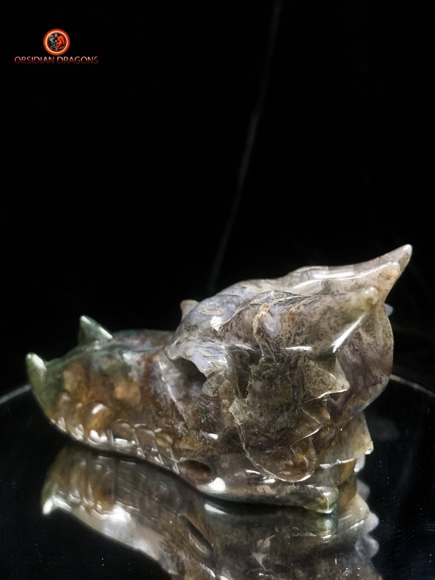 Crâne de dragon sculpté en agate mousse- Rare | obsidian dragons