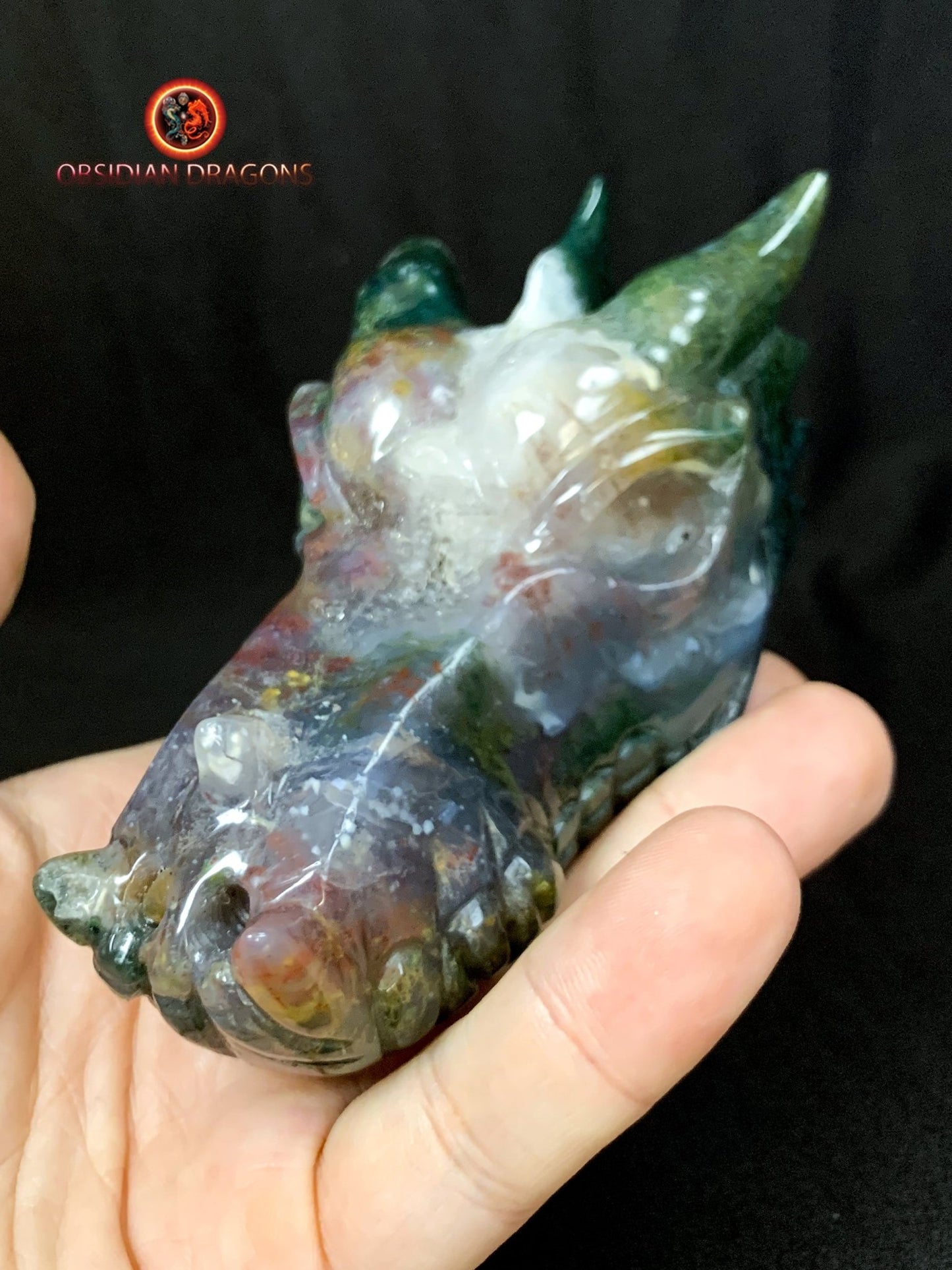 CRÂNE DE DRAGON- ARTISANAL- AGATE MOUSSE-UNIQUE