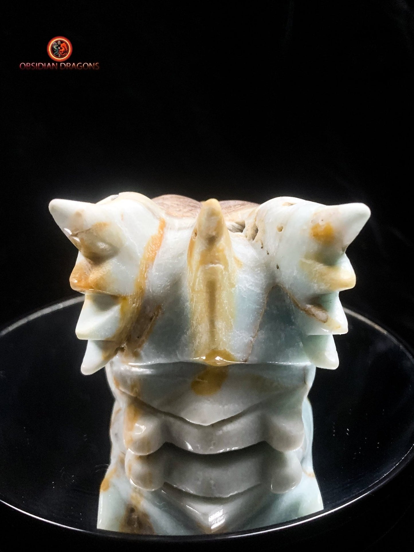 Crâne de dragon en Aragonite- Artisanal- Unique | obsidian dragons