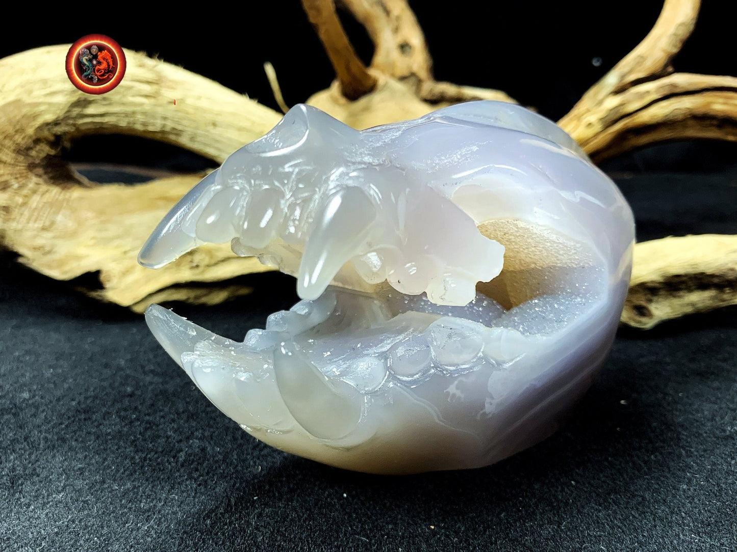 Crane de protection. Leopard Zheng. Dragon. Aspirateur d'energie impure, garant de l'ordre cosmique. Crane de dragon, sculpté dans une geode - obsidian dragon