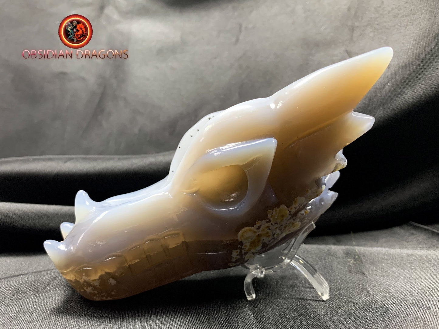 Crâne de dragon, tête de dragon, crâne de cristal, dragon skull