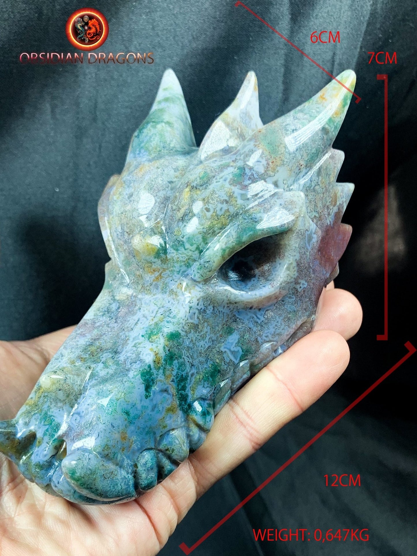 Crâne de dragon, tête de dragon, crâne de cristal, dragon skull