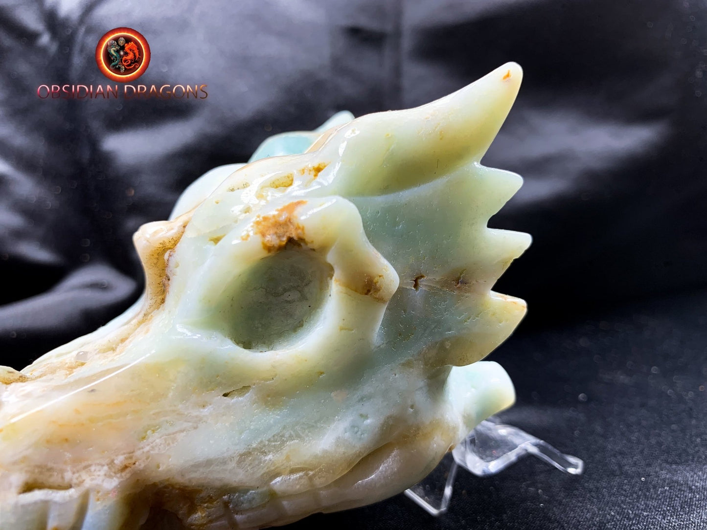 Crâne de dragon, tête de dragon, crâne de cristal, dragon skull