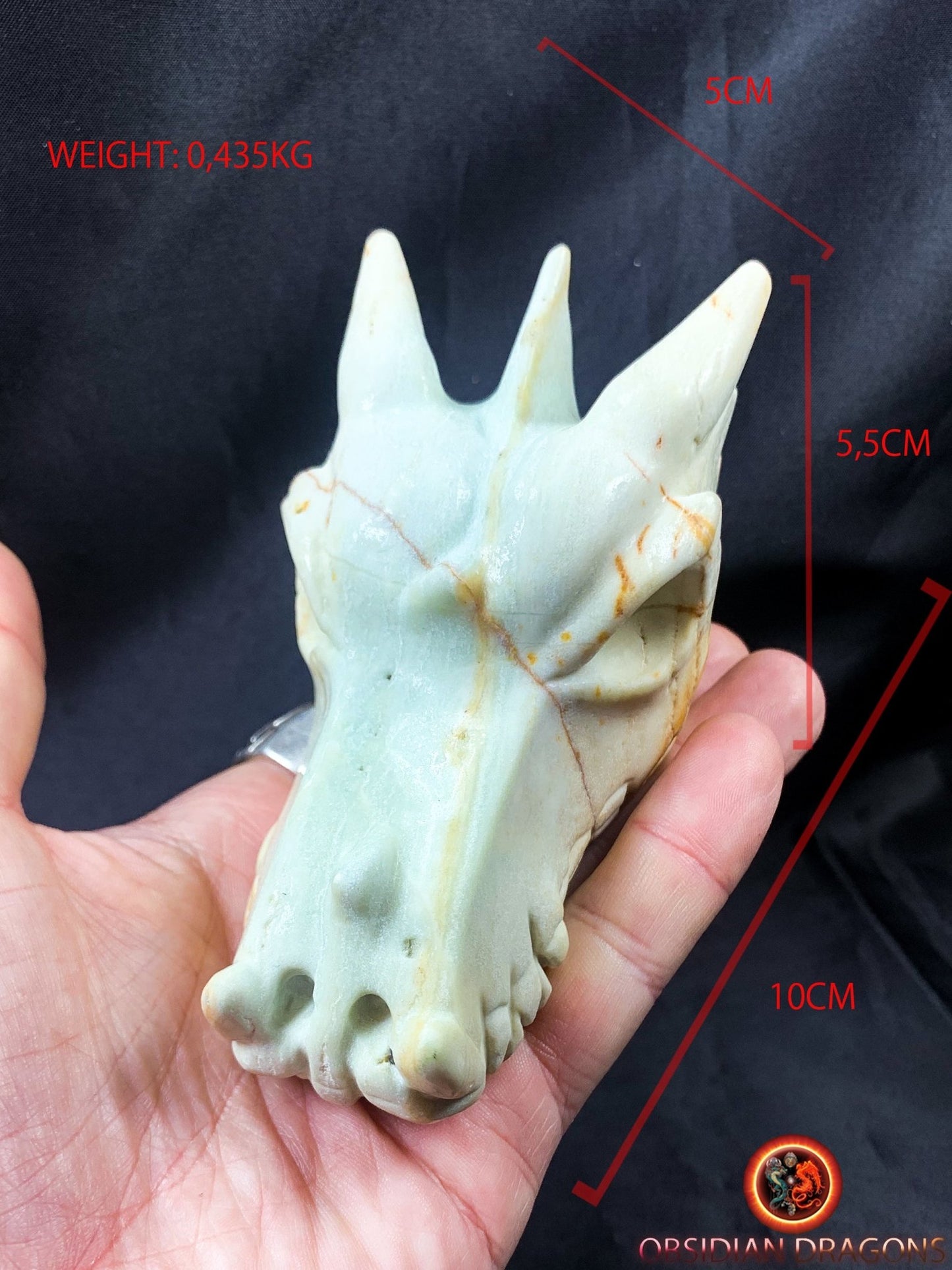Crâne de dragon, tête de dragon, crâne de cristal, dragon skull,