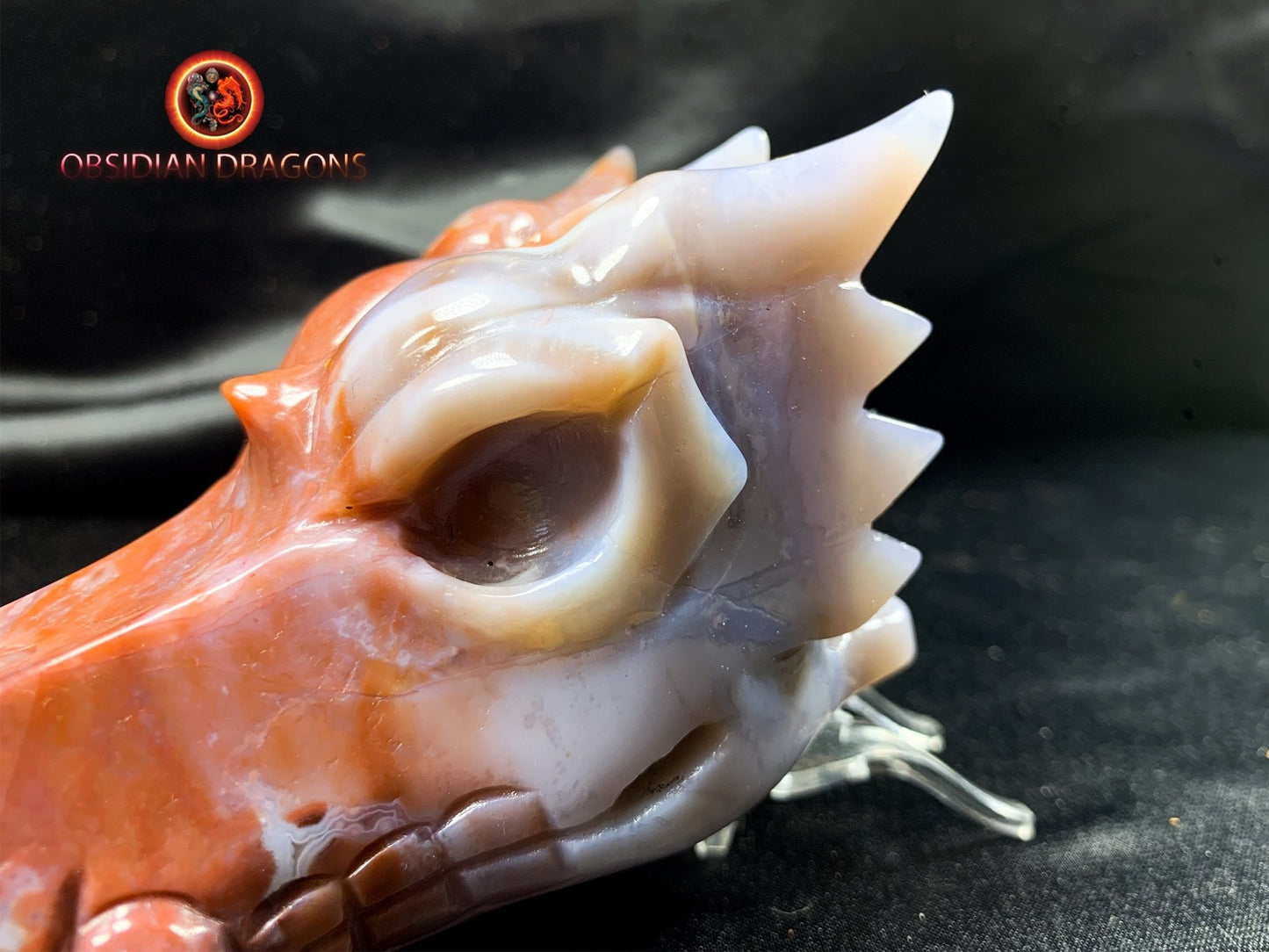 Crâne de dragon, tête de dragon, crâne de cristal, dragon skull,