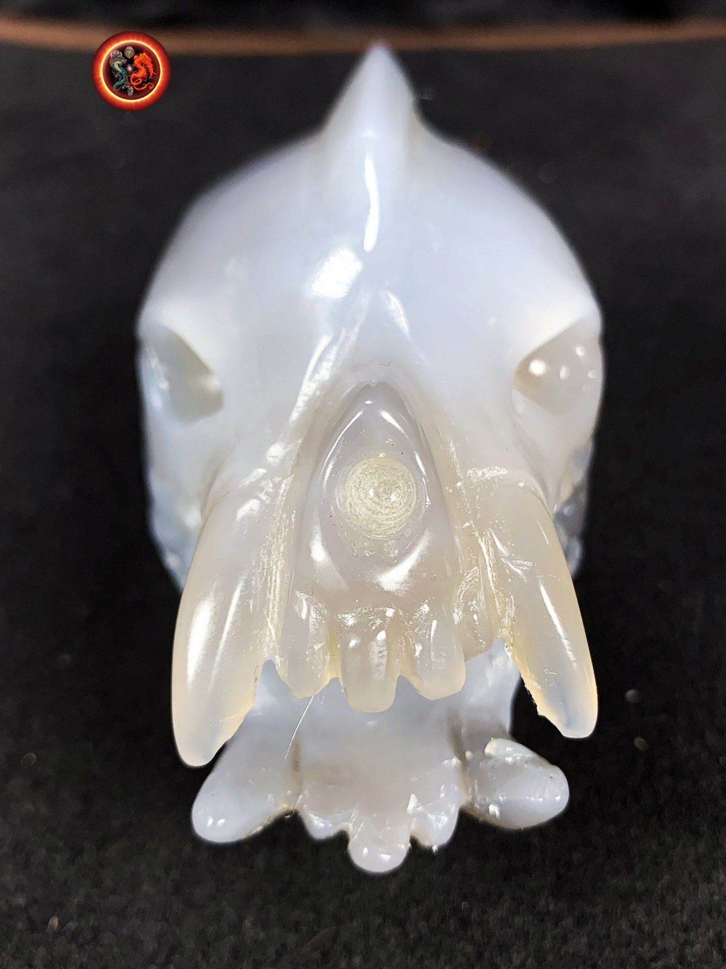 Crane de protection. Leopard Zheng. Dragon. Aspirateur d'energie impure, garant de l'ordre cosmique. Crane de dragon, sculpté dans une geode - obsidian dragon