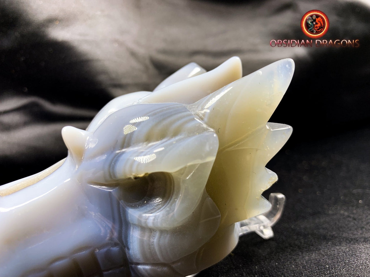 Crâne de dragon, tête de dragon, crâne de cristal, dragon skull