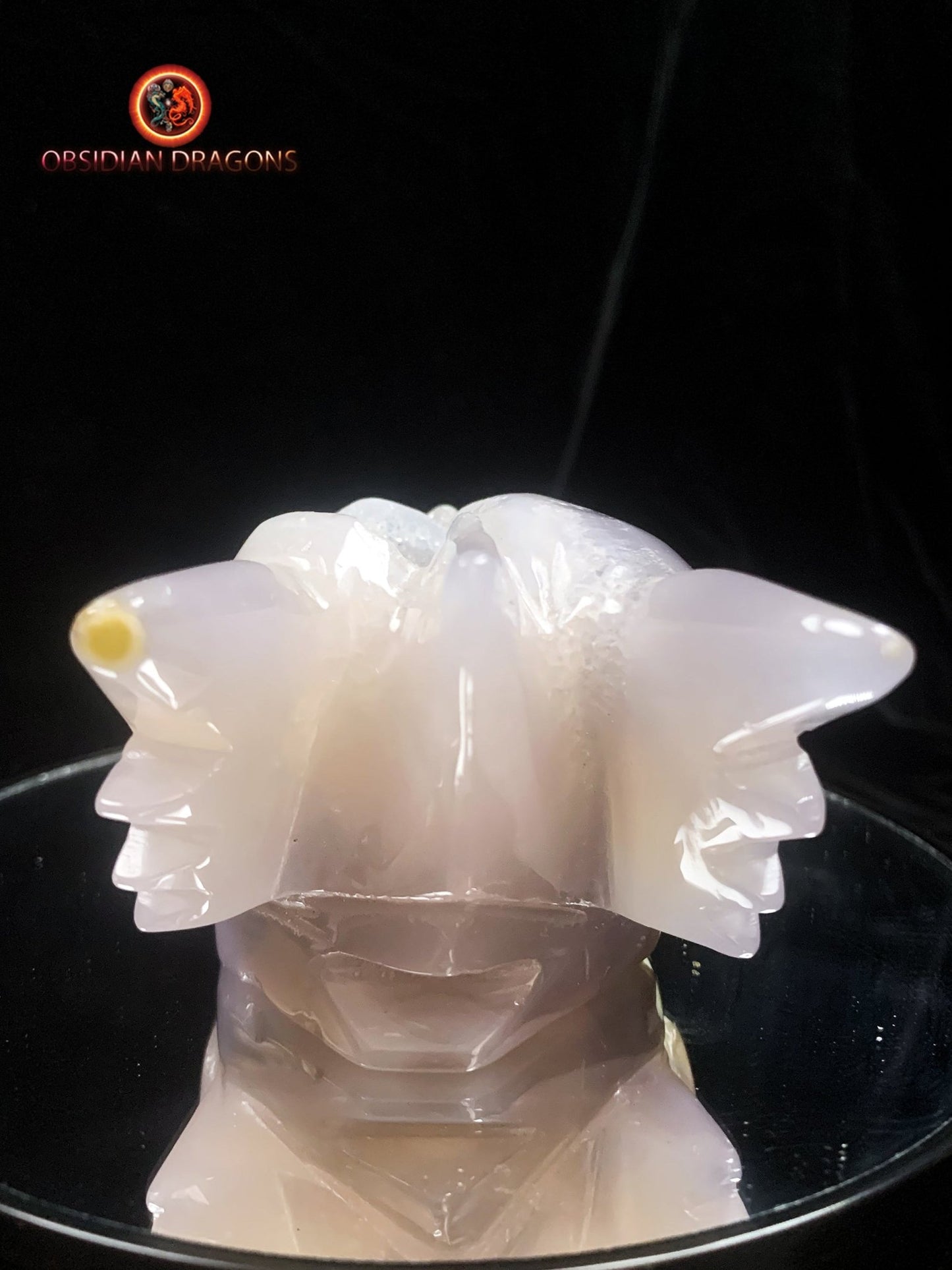 Crâne de dragon- Geode de quartz- Rare | obsidian dragons