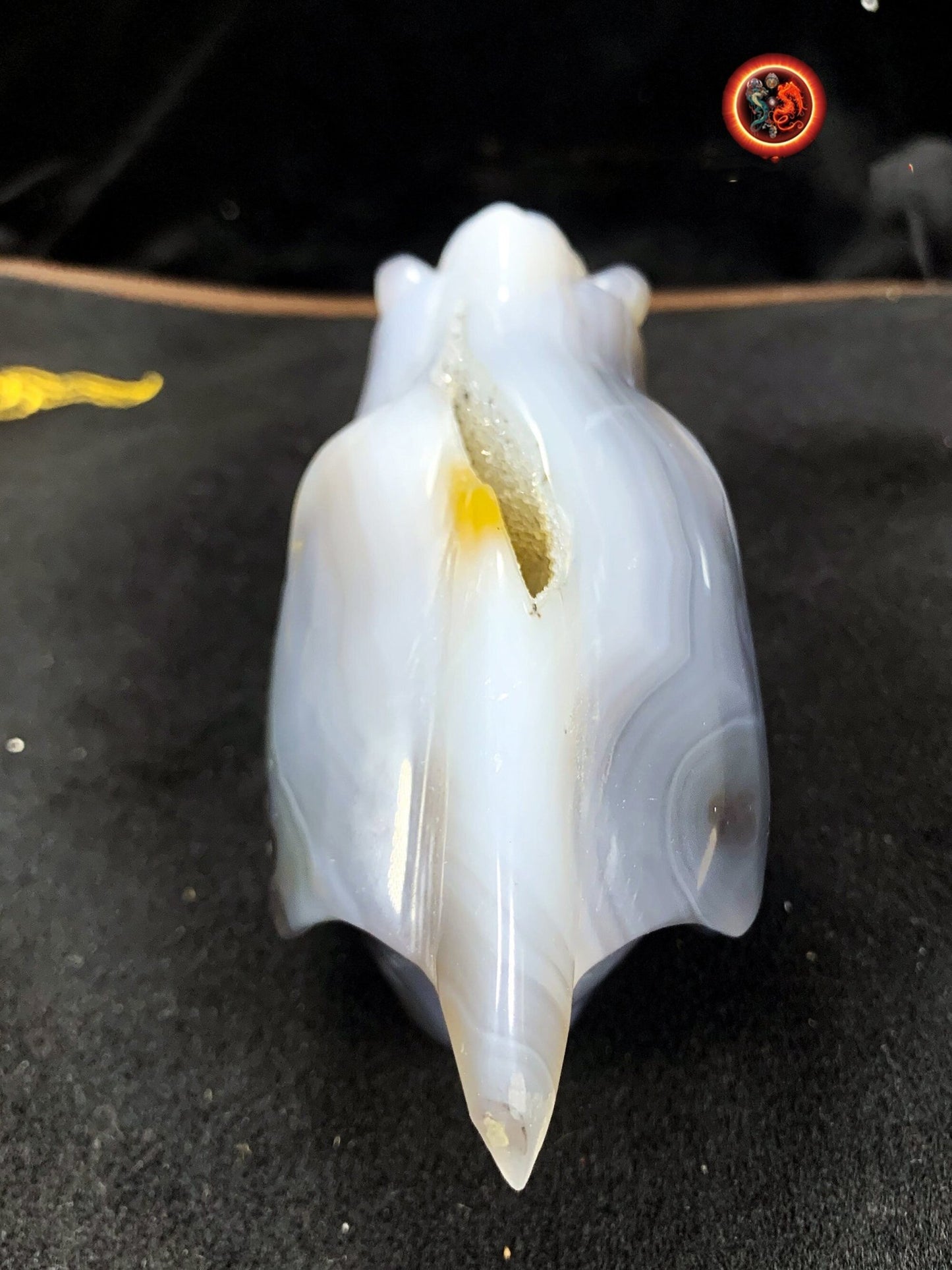 Crane de protection. Leopard Zheng. Dragon. Aspirateur d'energie impure, garant de l'ordre cosmique. Crane de dragon, sculpté dans une geode - obsidian dragon