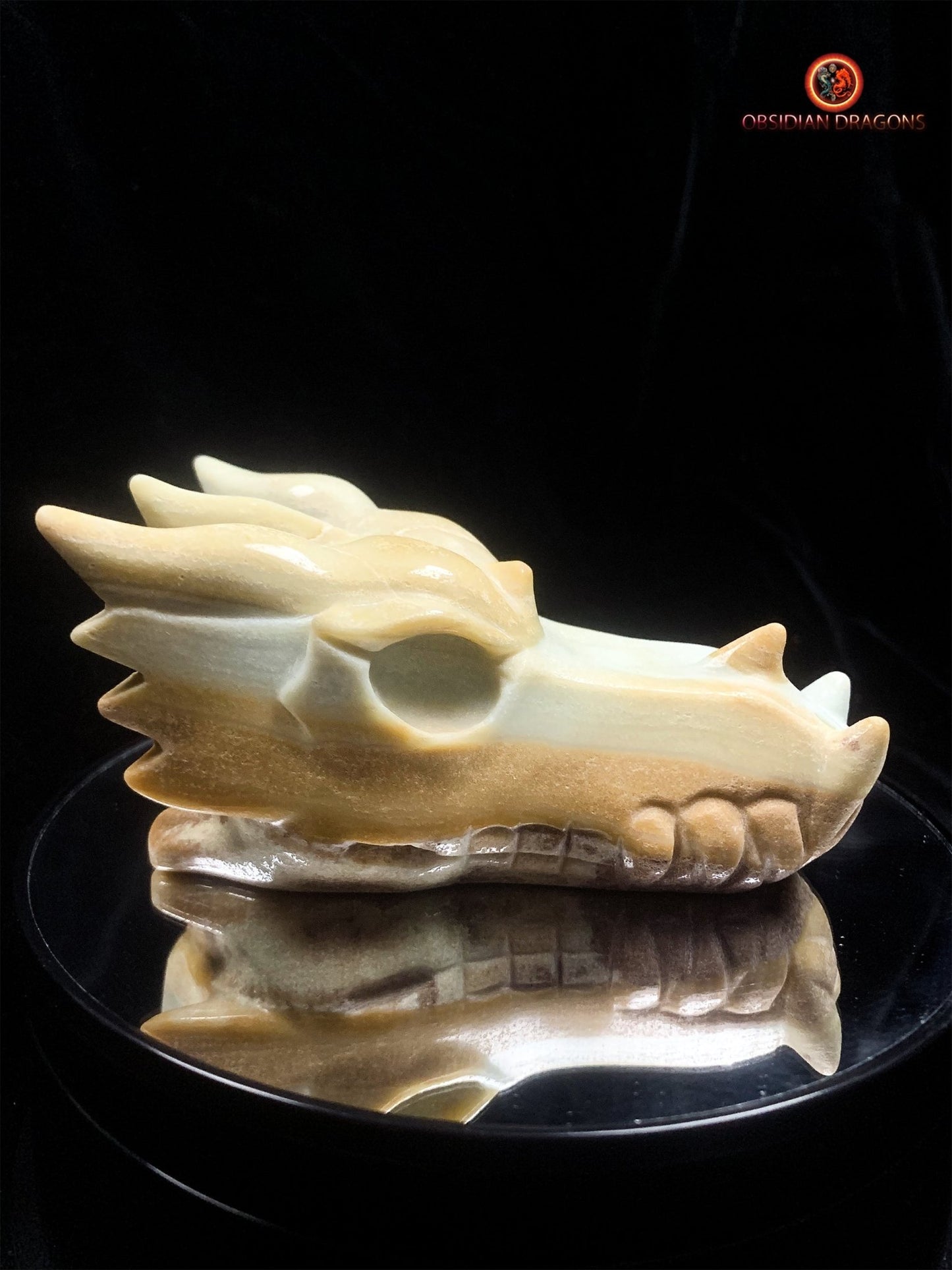 Crâne de dragon en Aragonite- Unique | obsidian dragons
