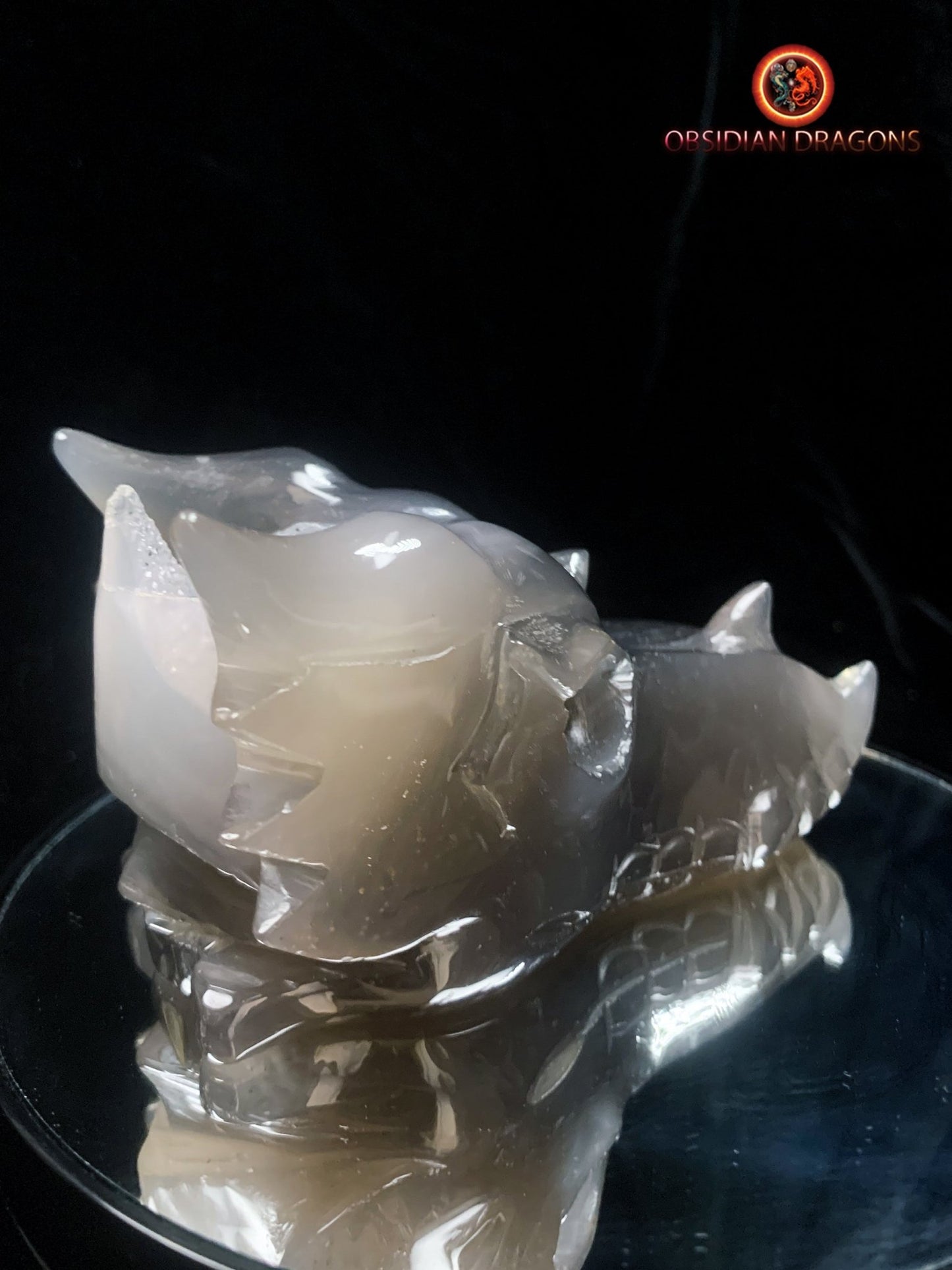 Crâne de dragon- Géode de quartz- Méditation draconique | obsidian dragons