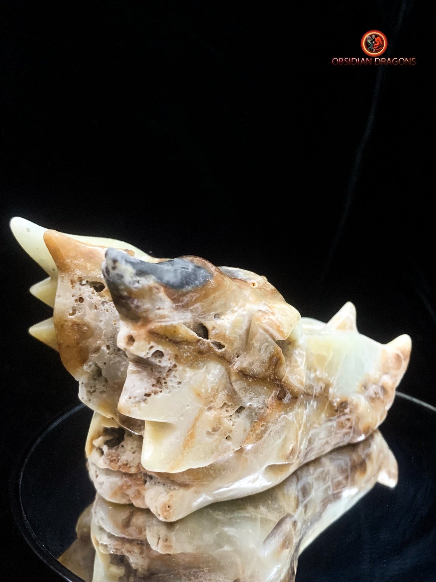 Crâne de dragon- Aragonite- Unique et artisanal | obsidian dragons