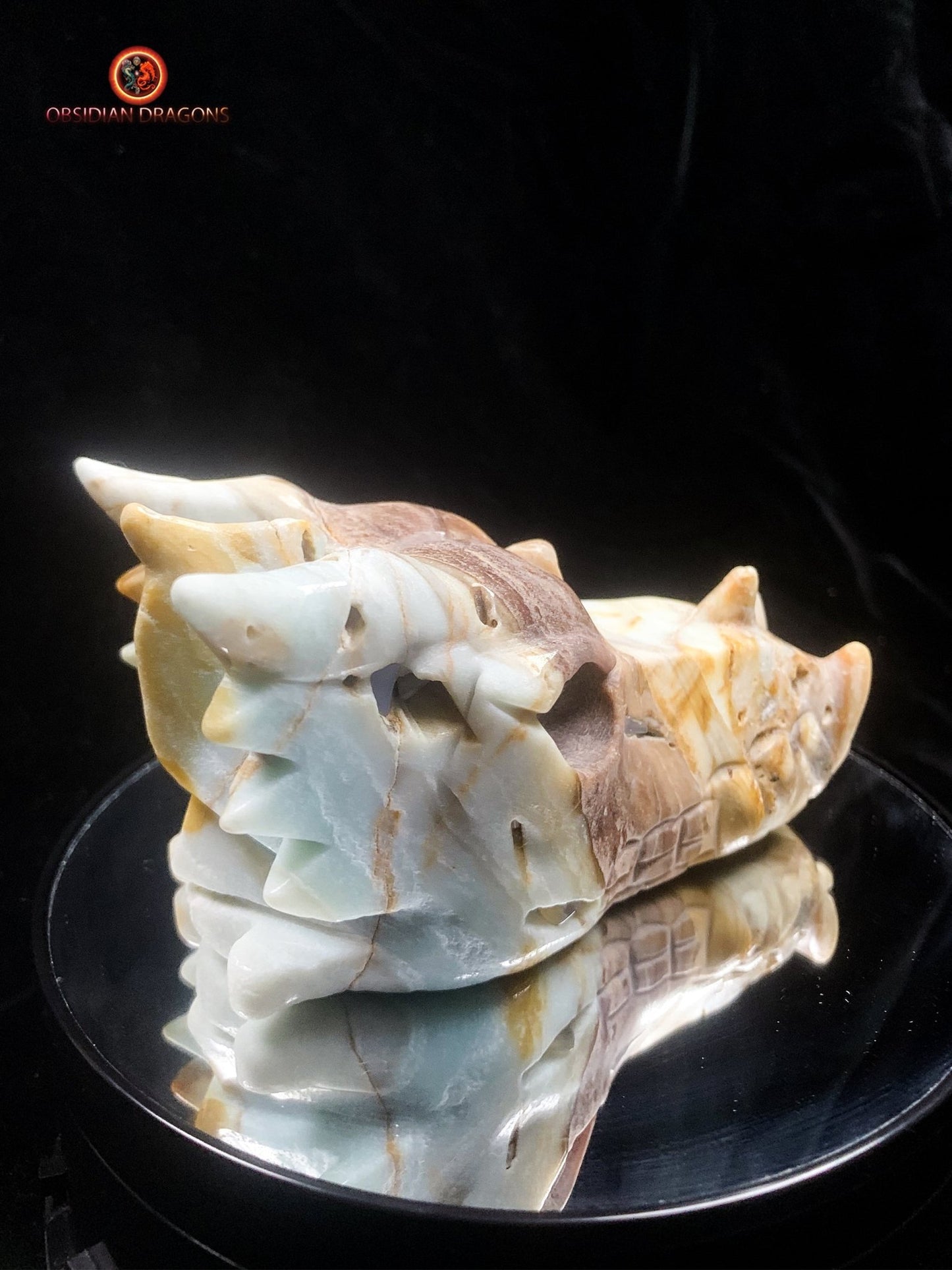 Crâne de dragon en Aragonite- Artisanal- Unique | obsidian dragons