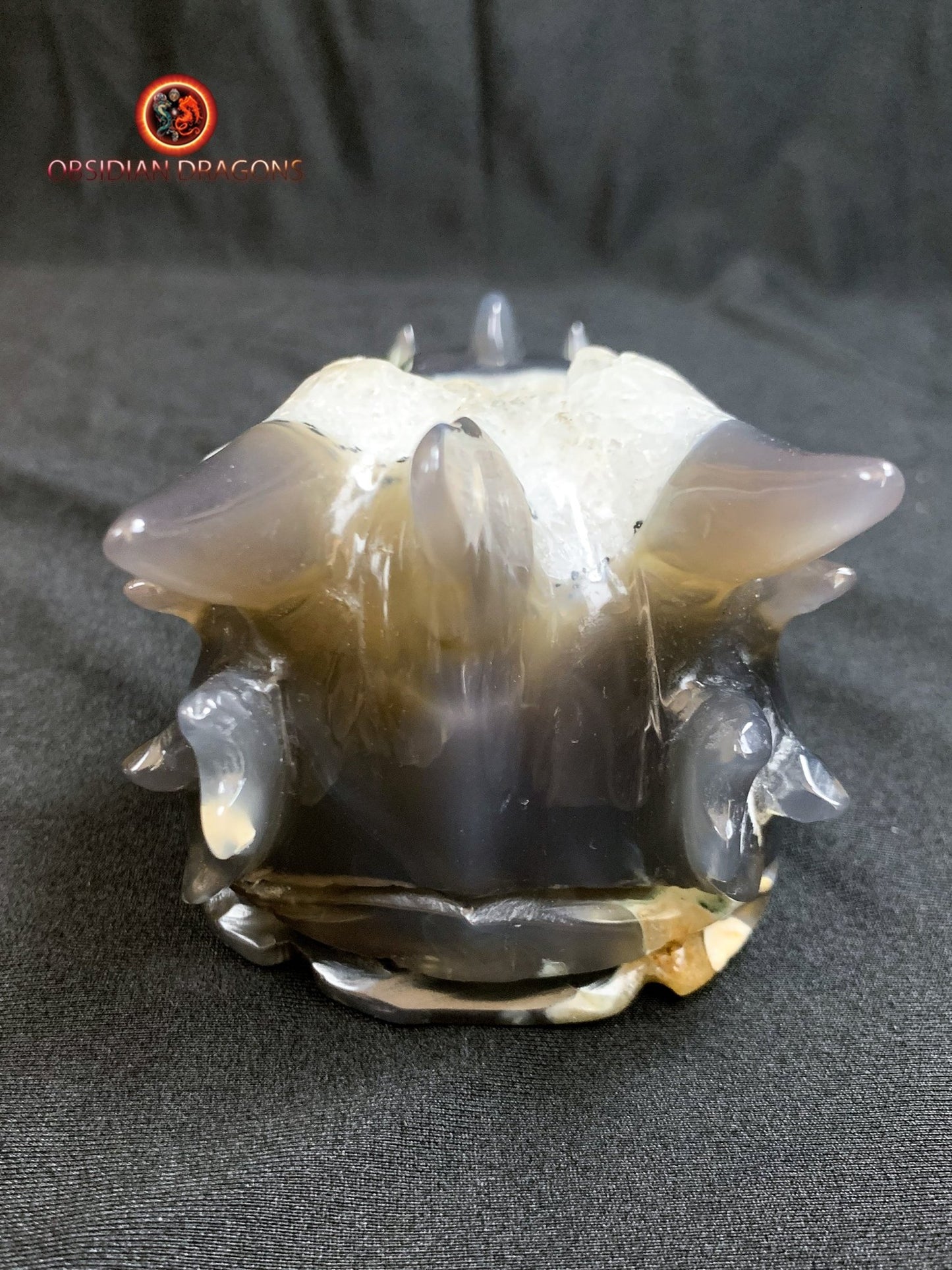 Crâne de dragon- artisanal- géode de quartz
