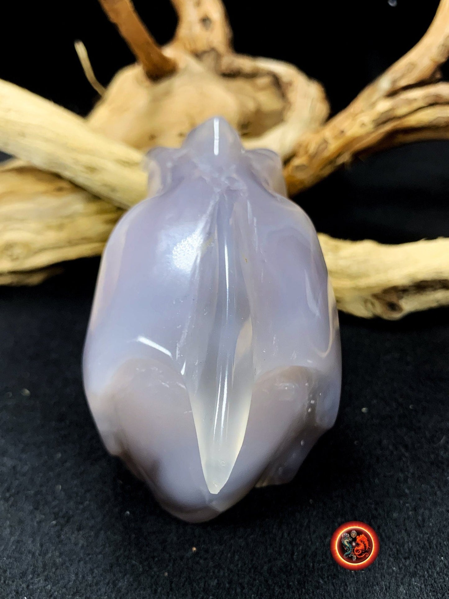 Crane de protection. Leopard Zheng. Dragon. Aspirateur d'energie impure, garant de l'ordre cosmique. Crane de dragon, sculpté dans une geode - obsidian dragon