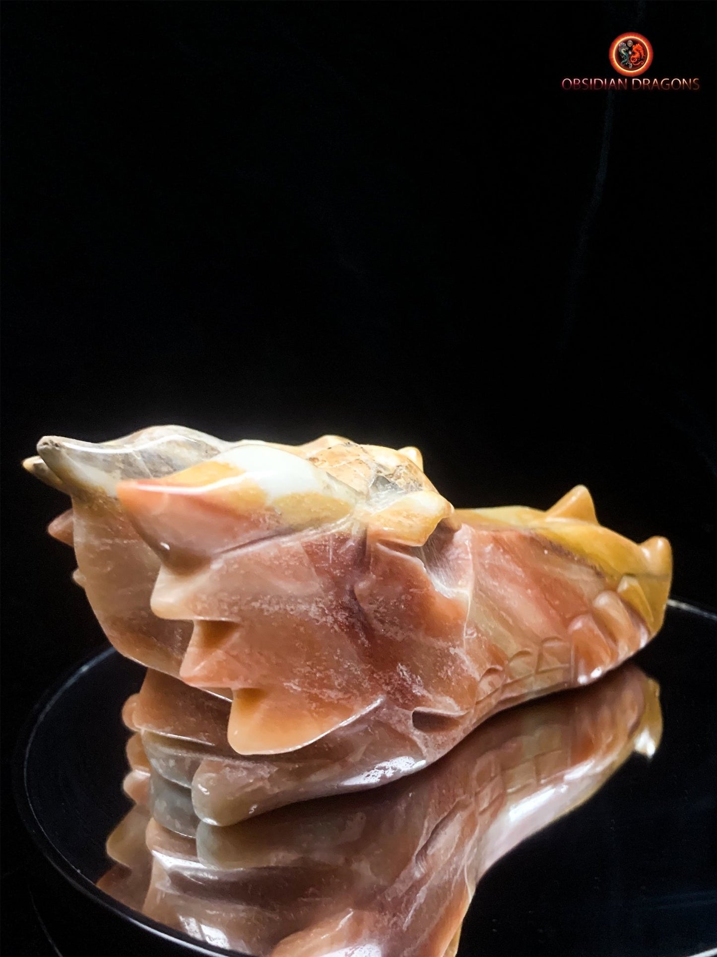 Crâne de dragon en Aragonite- Artisanal | obsidian dragons
